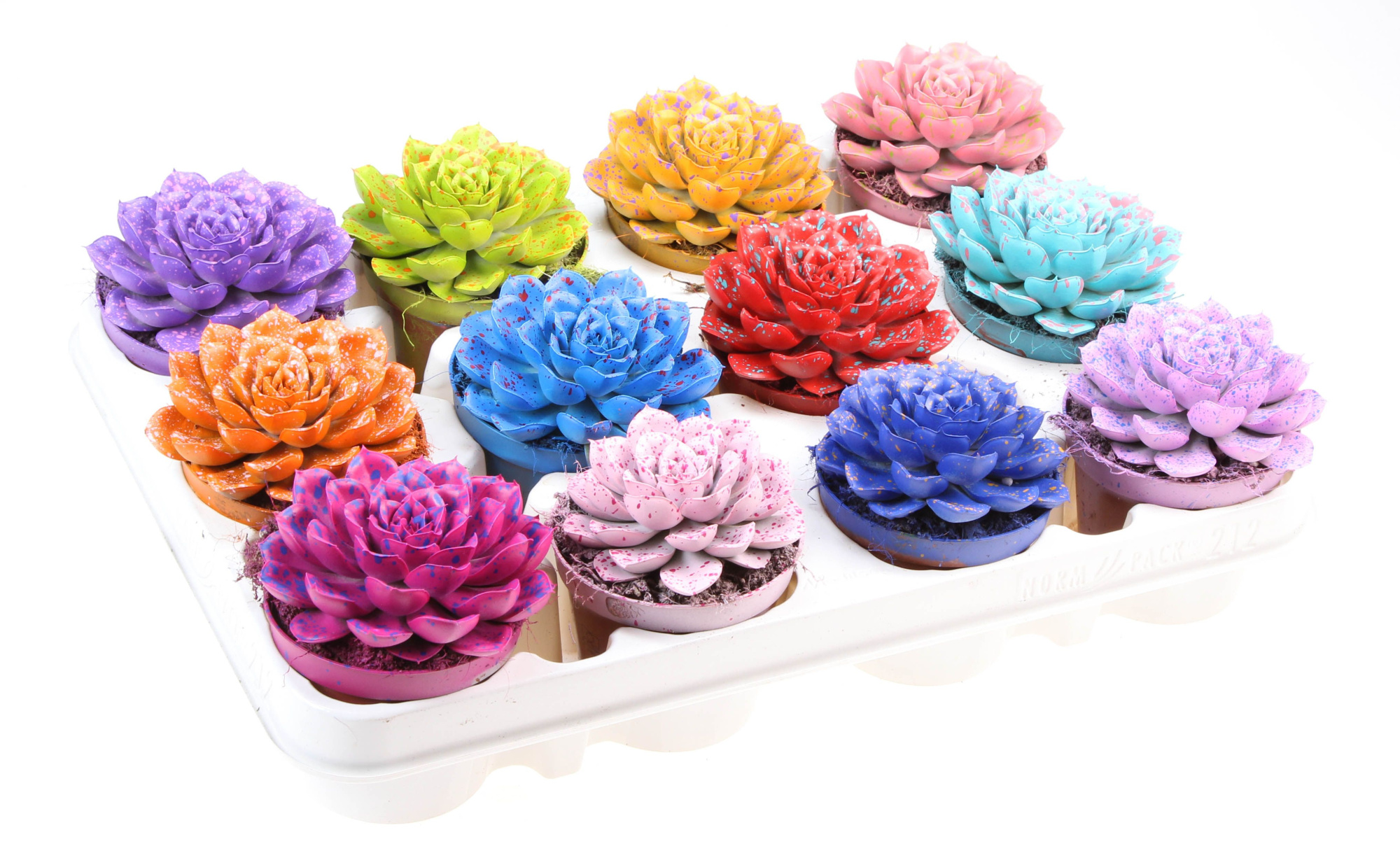 Rainbow sprinkle mix, D 8,5 cm