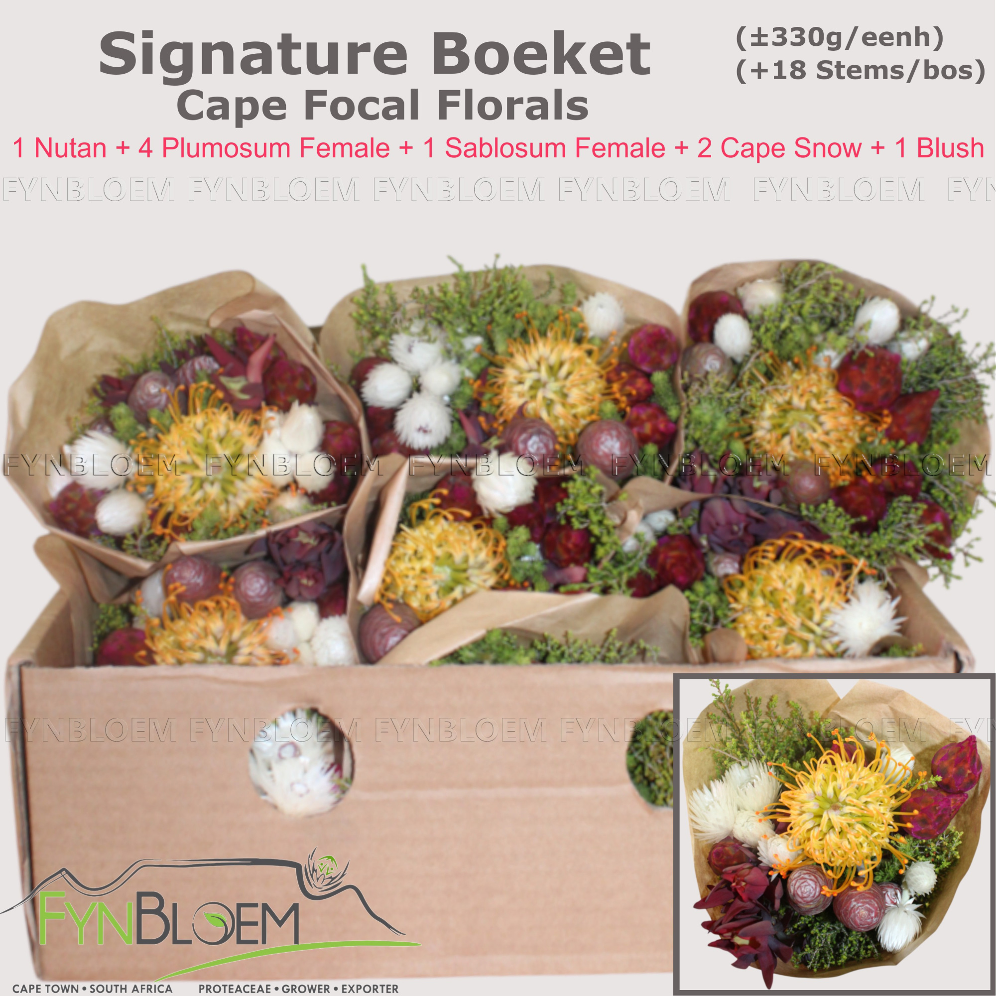 Протея Овериг за пучок 40, пуч.