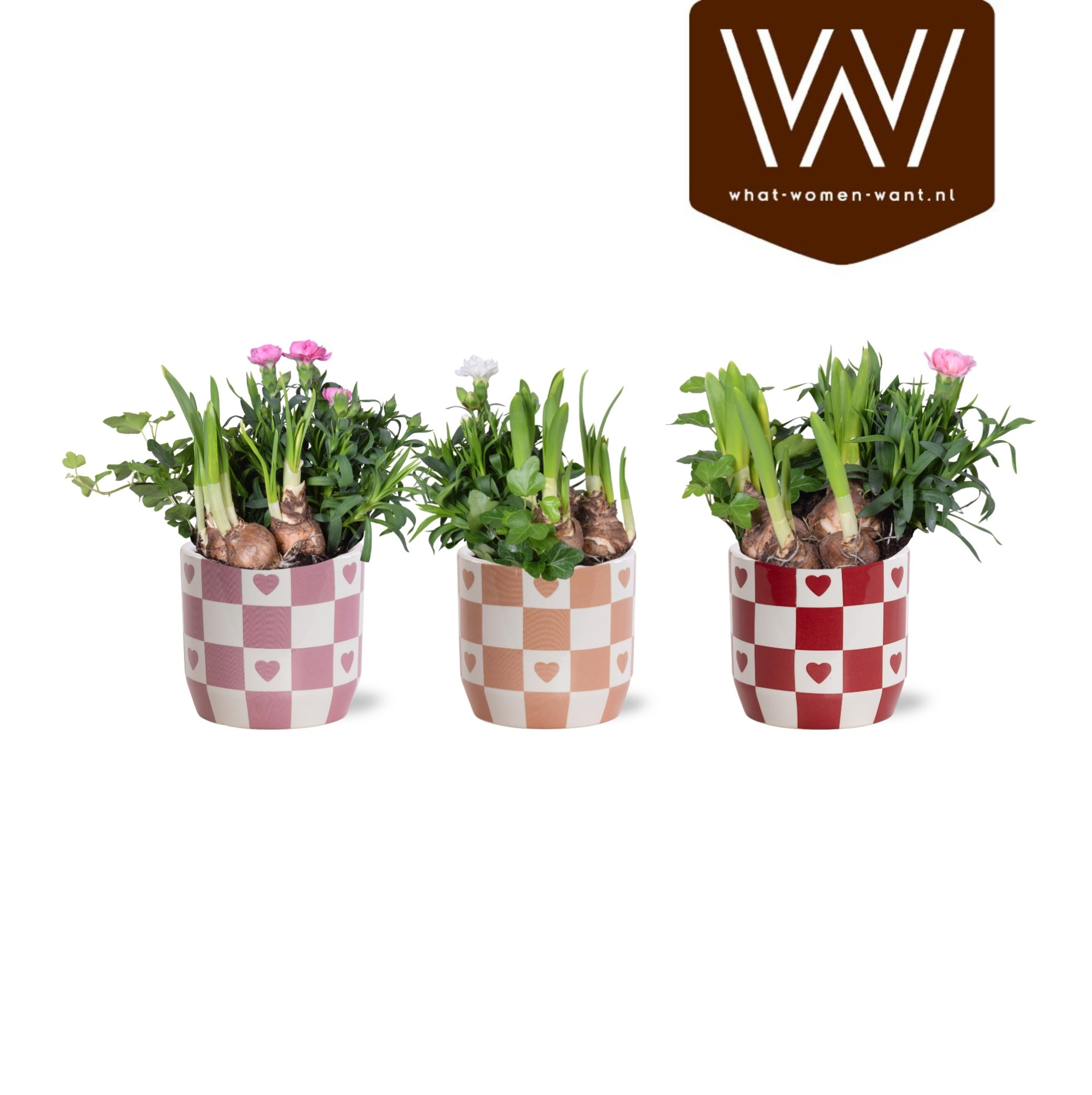 Collectie 'Sympathetic Moods' Arrangement in Keramiek Rosie, D 12