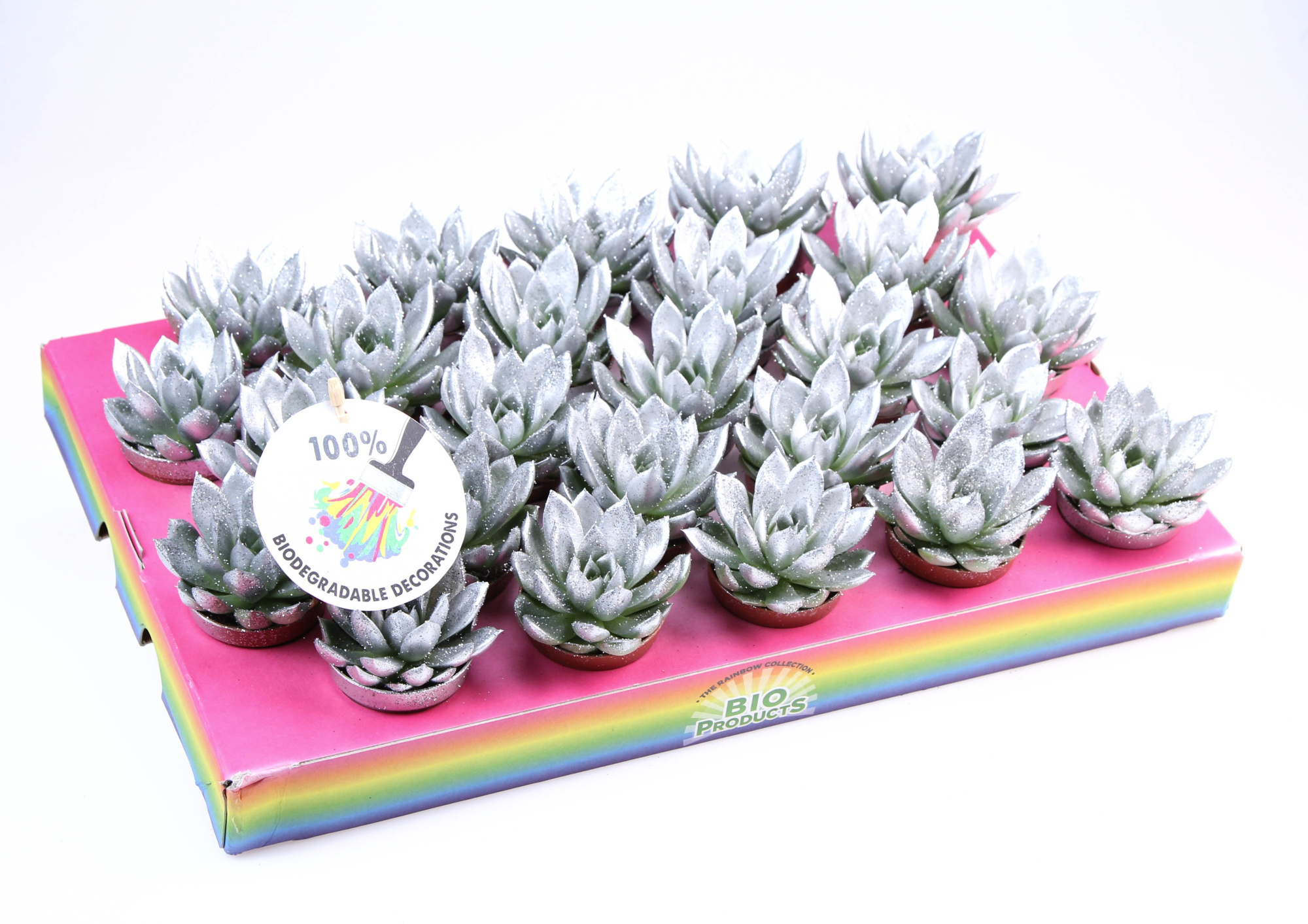 Bio miranda silver glitter, D 5,5