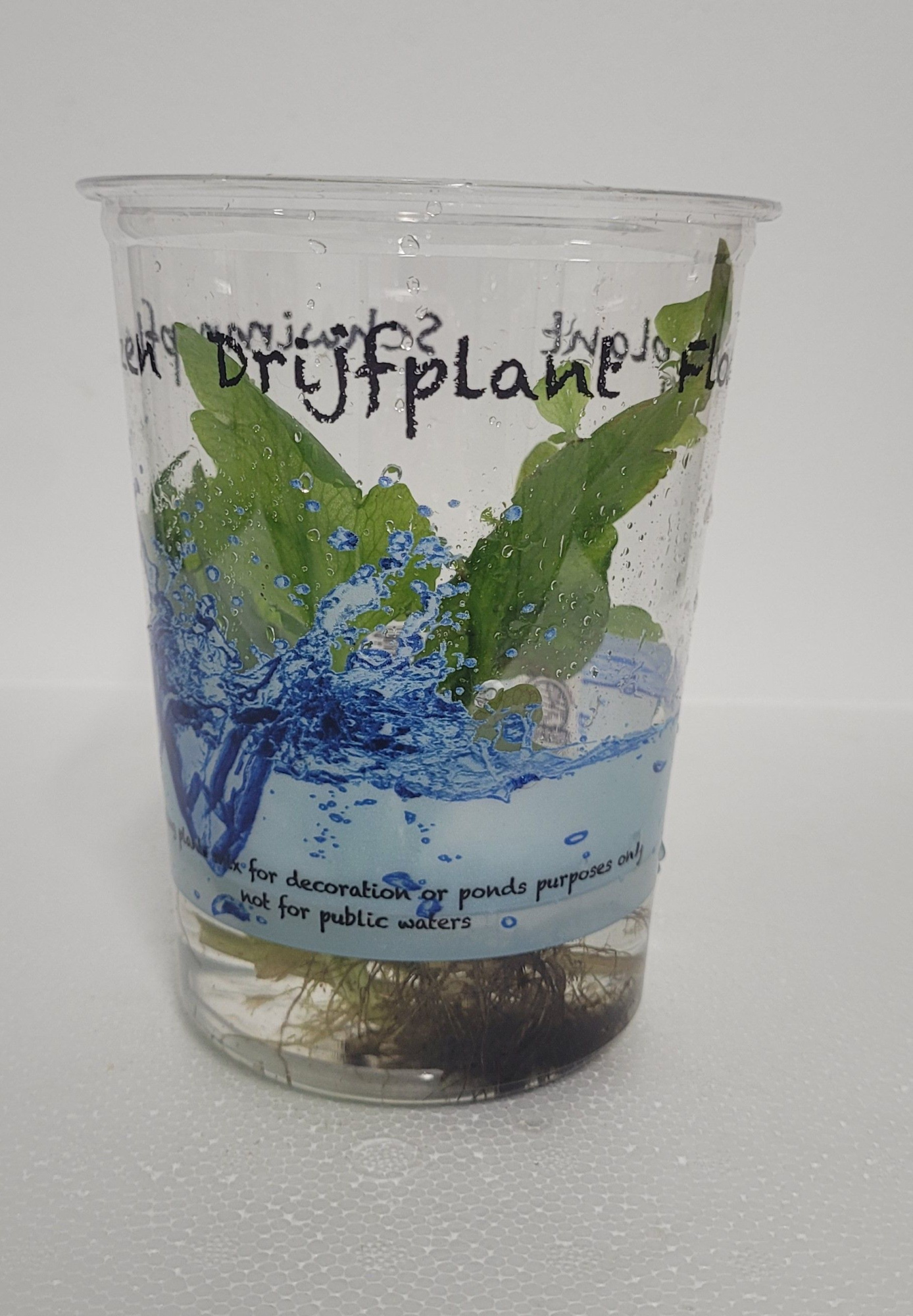 490-ceratopteris petroides met deksel, D 12 cm