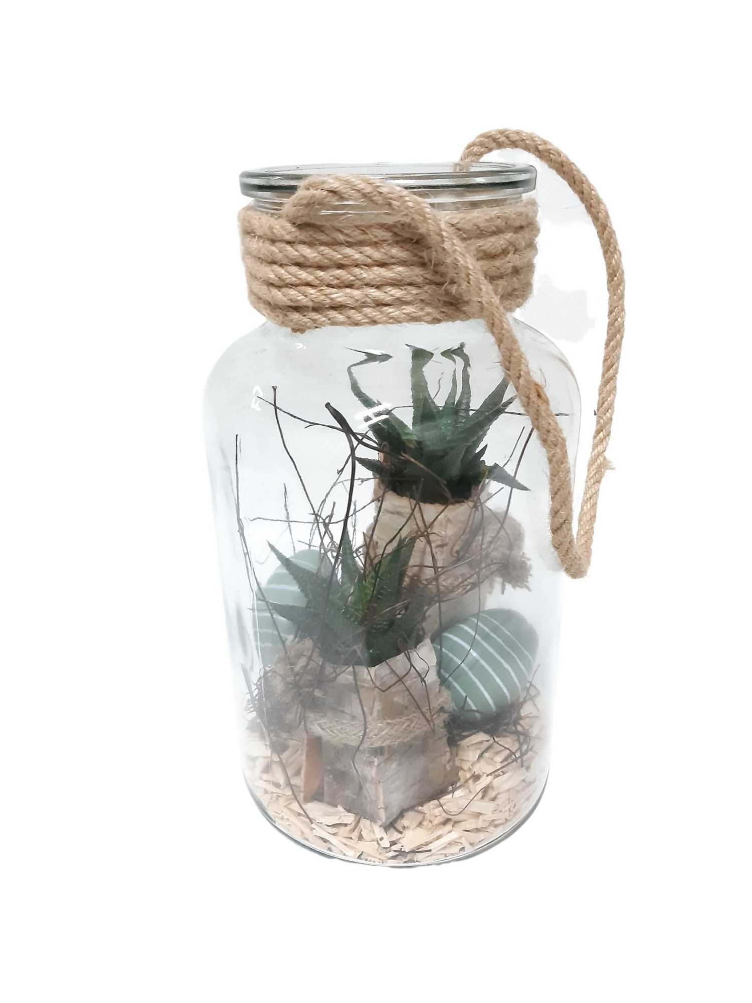 814PAS Fles / Terrarium 14/26 Haworthia in schors Paasdeco, D 14