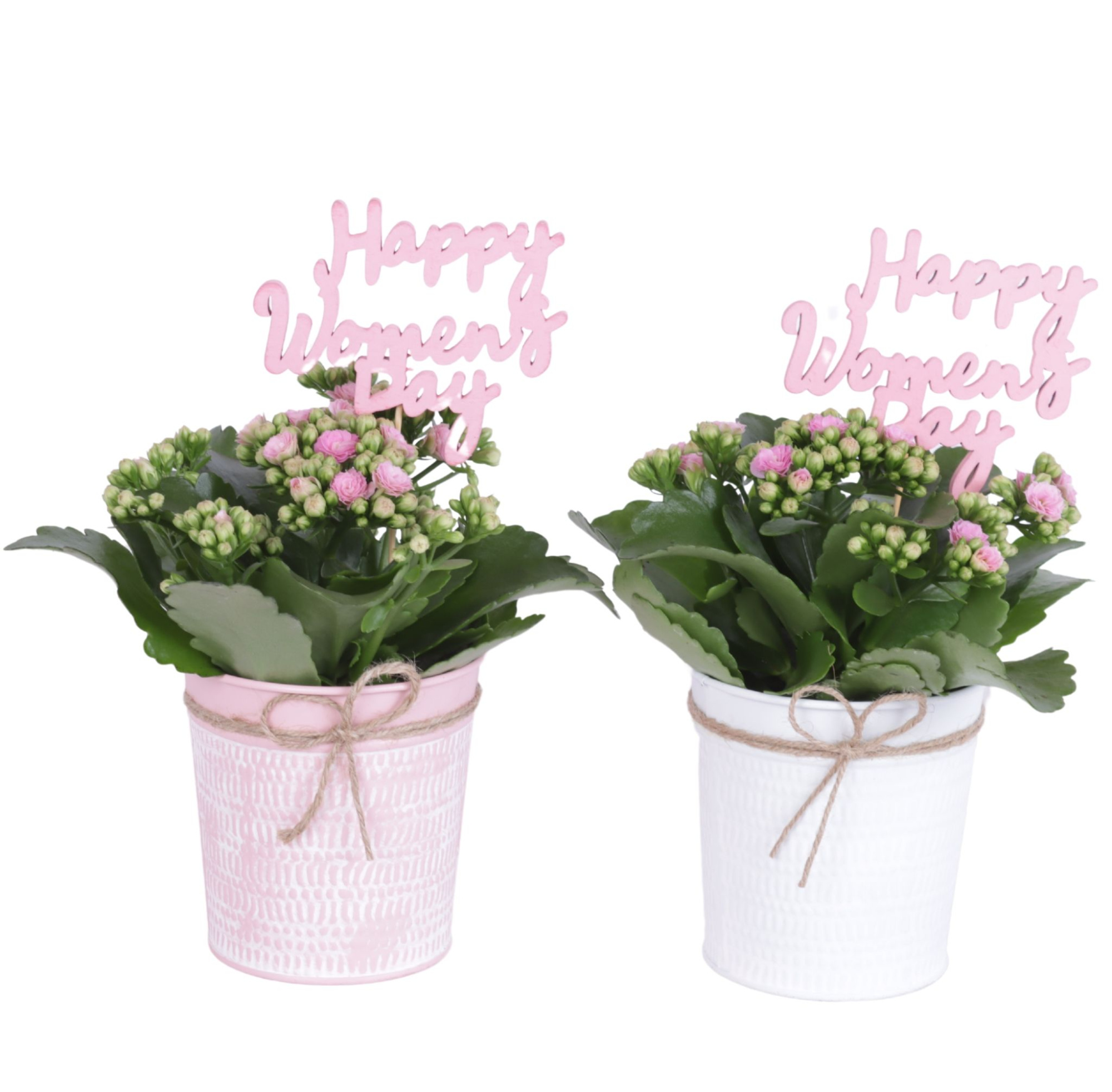 Womens Day Arr. Indoor Zinc Pot Round Pink/White Ø10cm 1PP, D 10