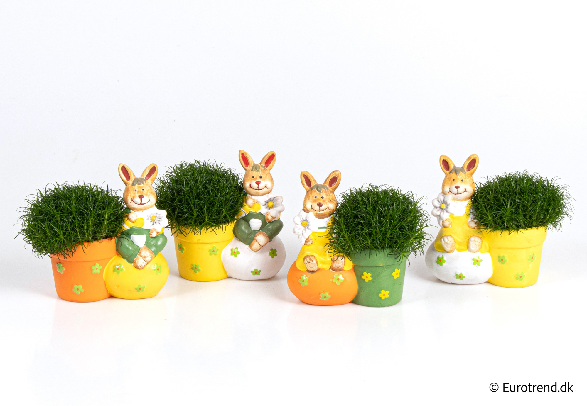 Sagina in Easter ceramic 2026, D 6