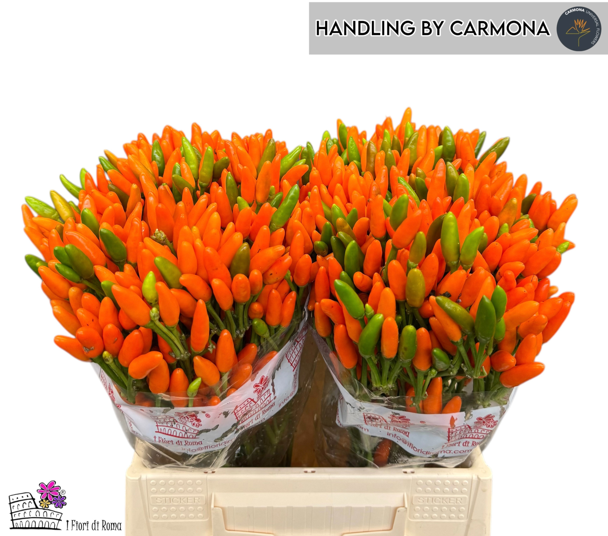 Капсикум Оранж Фае 35, шт.