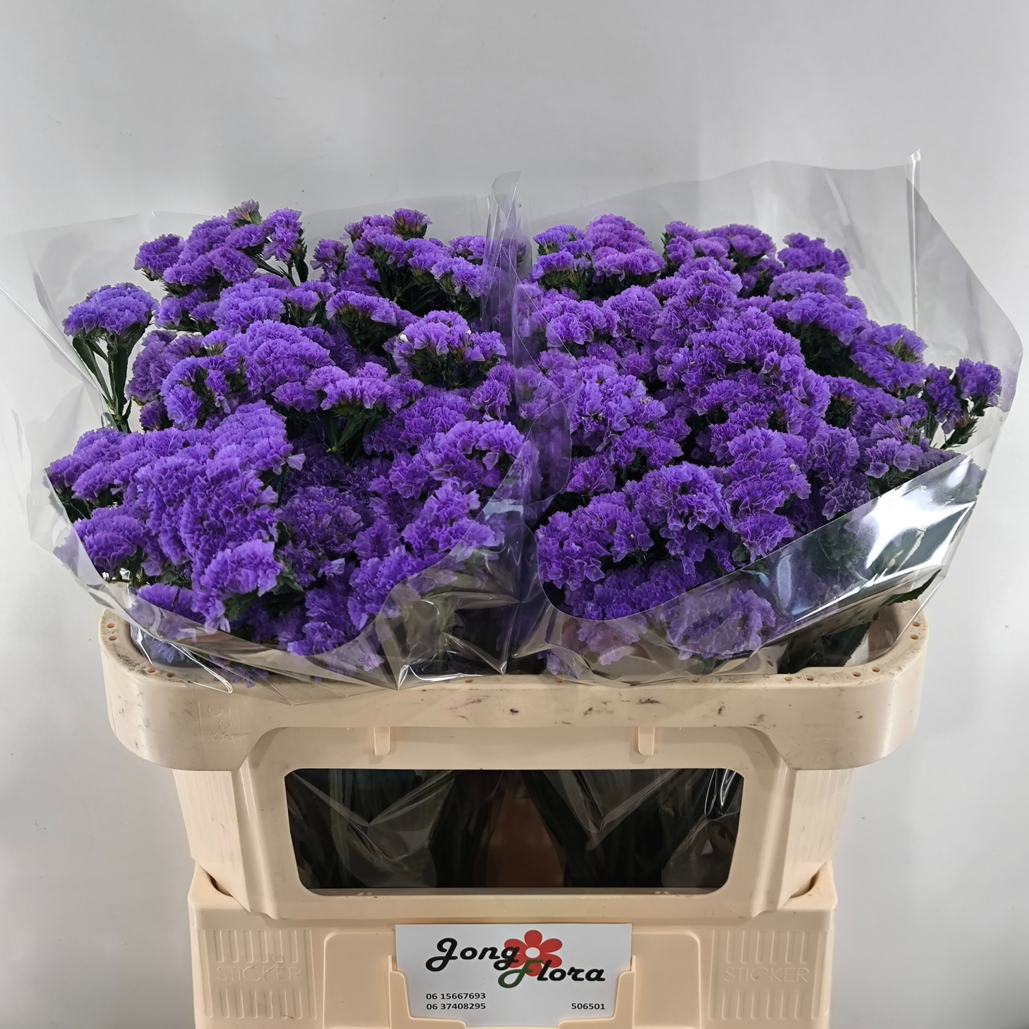 Статица Кристал Дарк Блю 70, шт.