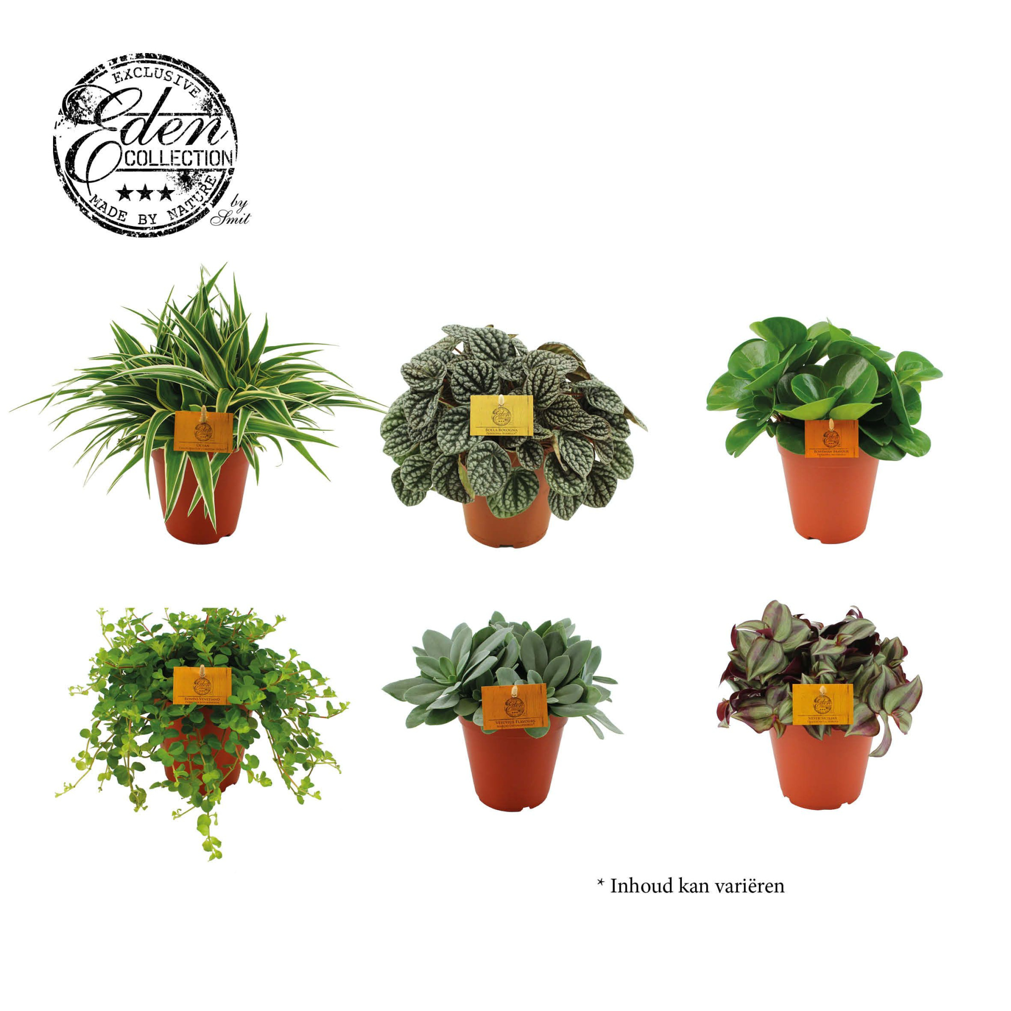 mix kar 15cm, D 15 cm