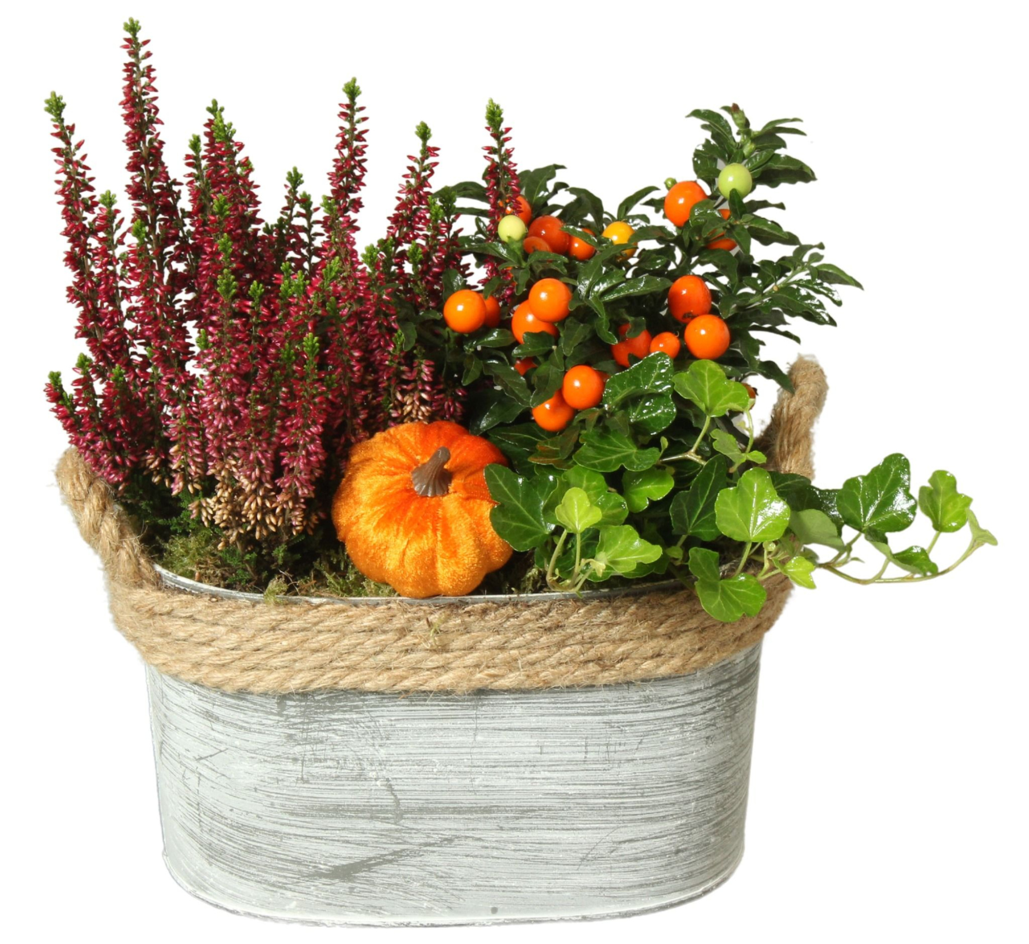 Autumn Arr. Outdoor Zinc Pot Oval Rope Ø23cm 3PP, D 23 cm