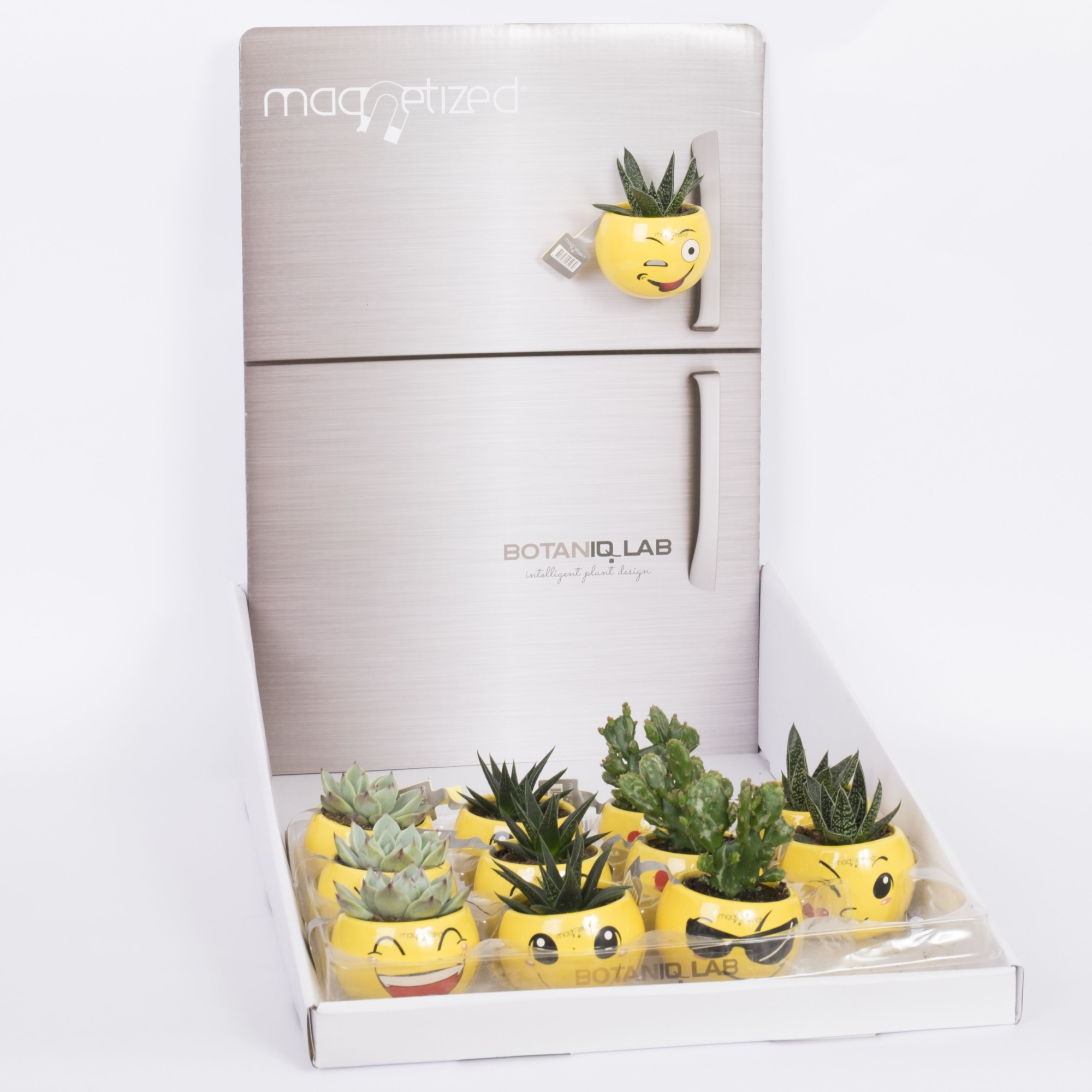 Magnetized Emoji in Display with Succulent mix, D 6 cm