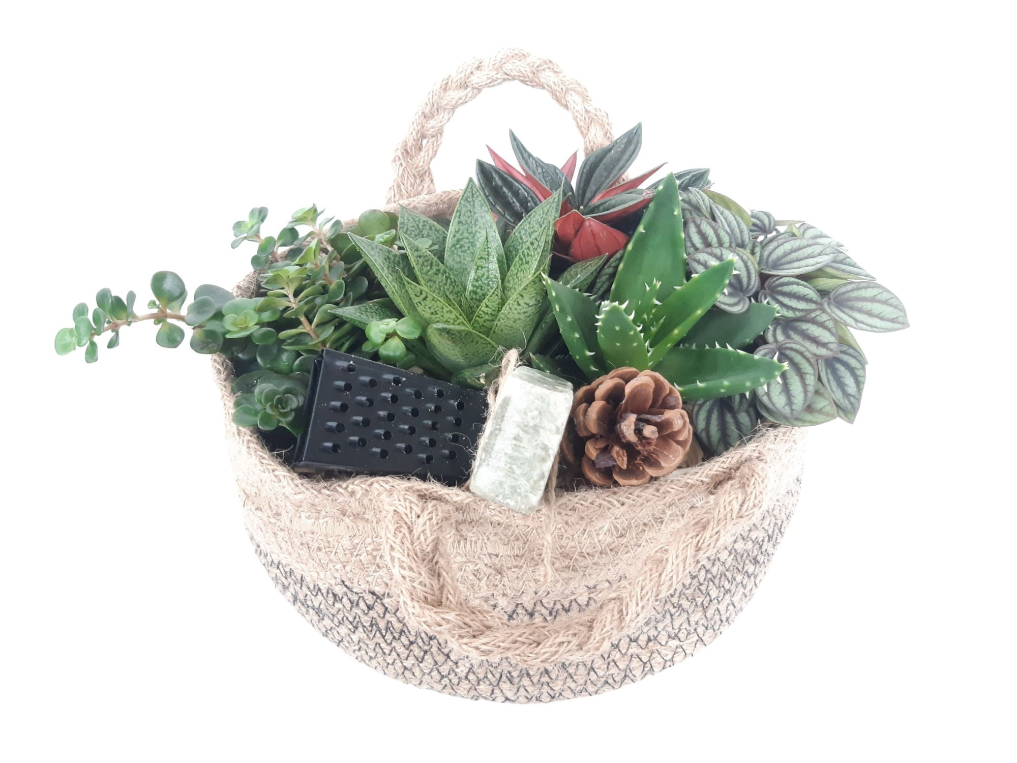 JT21ACD Jute tas mini succ.mix Aroma Cube Deco, D 21 cm