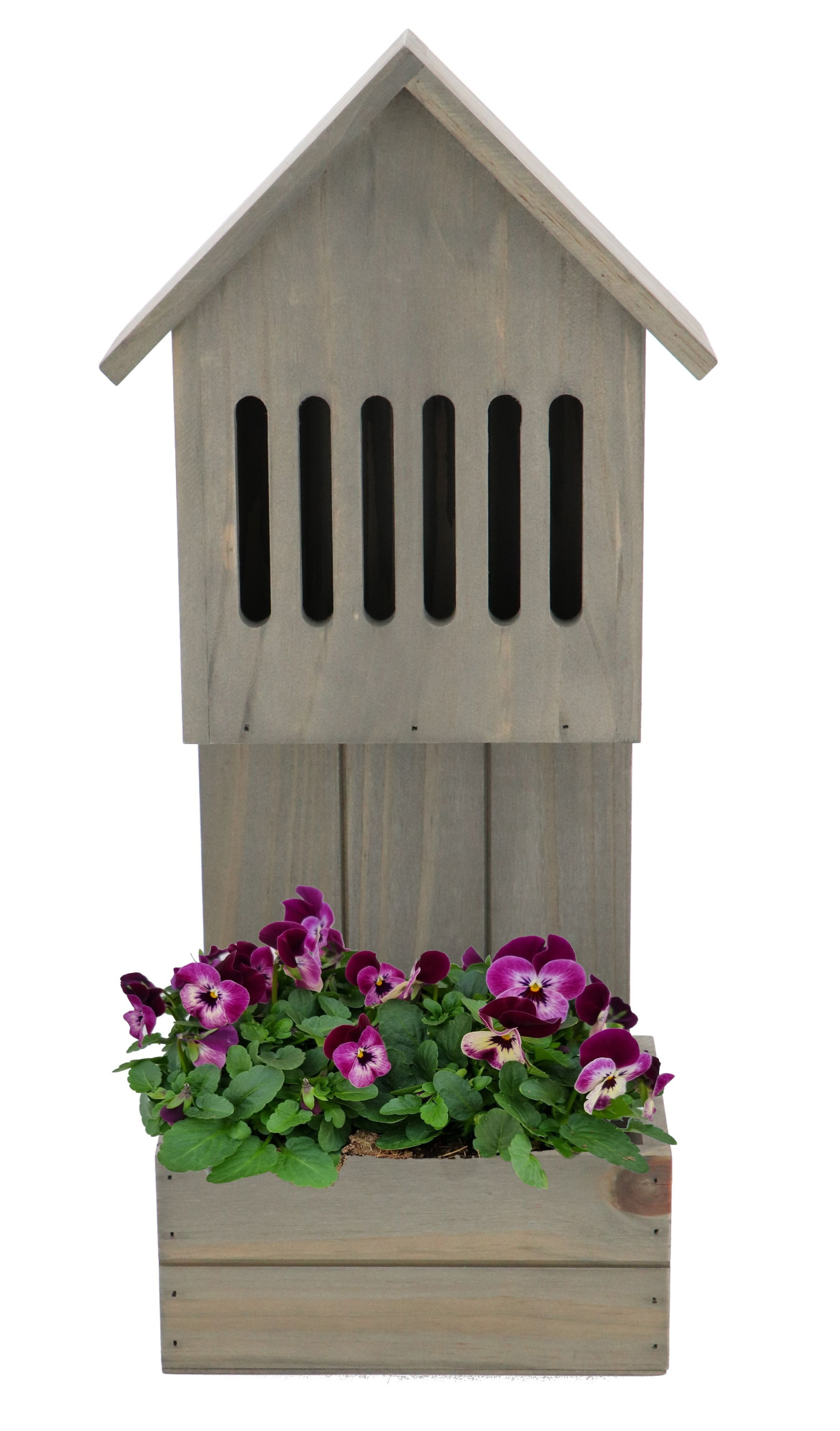 V815-9001 Viola plantenbak vlinderhuis, D 18 cm