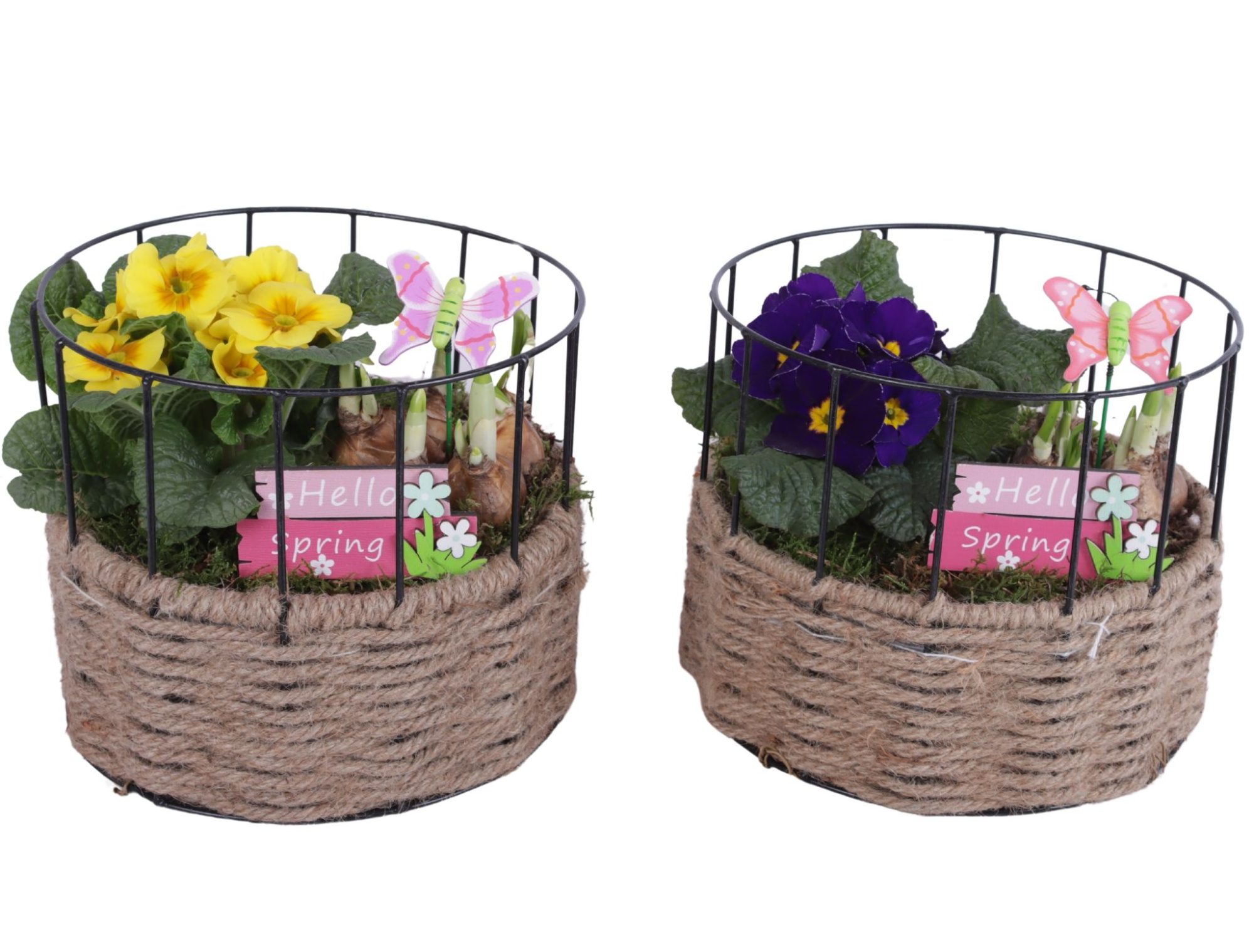Early Spring Arr. Outdoor Metal Frame Rope Pot Round Ø21cm 2PP, D 21