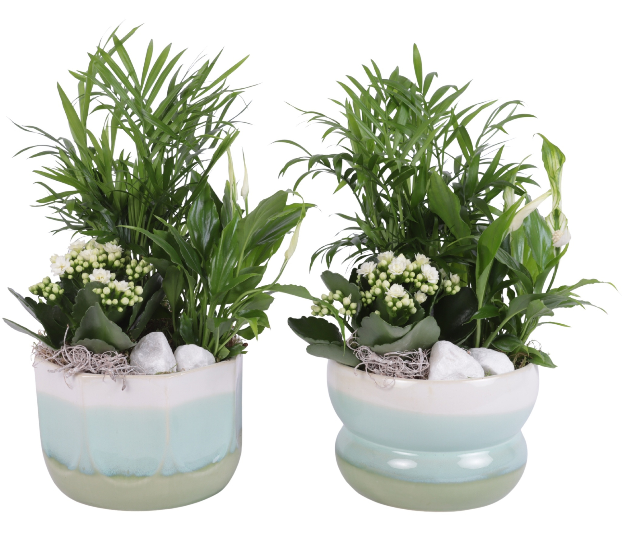 Yearround Arr. Indoor Ceramic Fresh Breeze FB675 Ø17cm 3PP, D 17