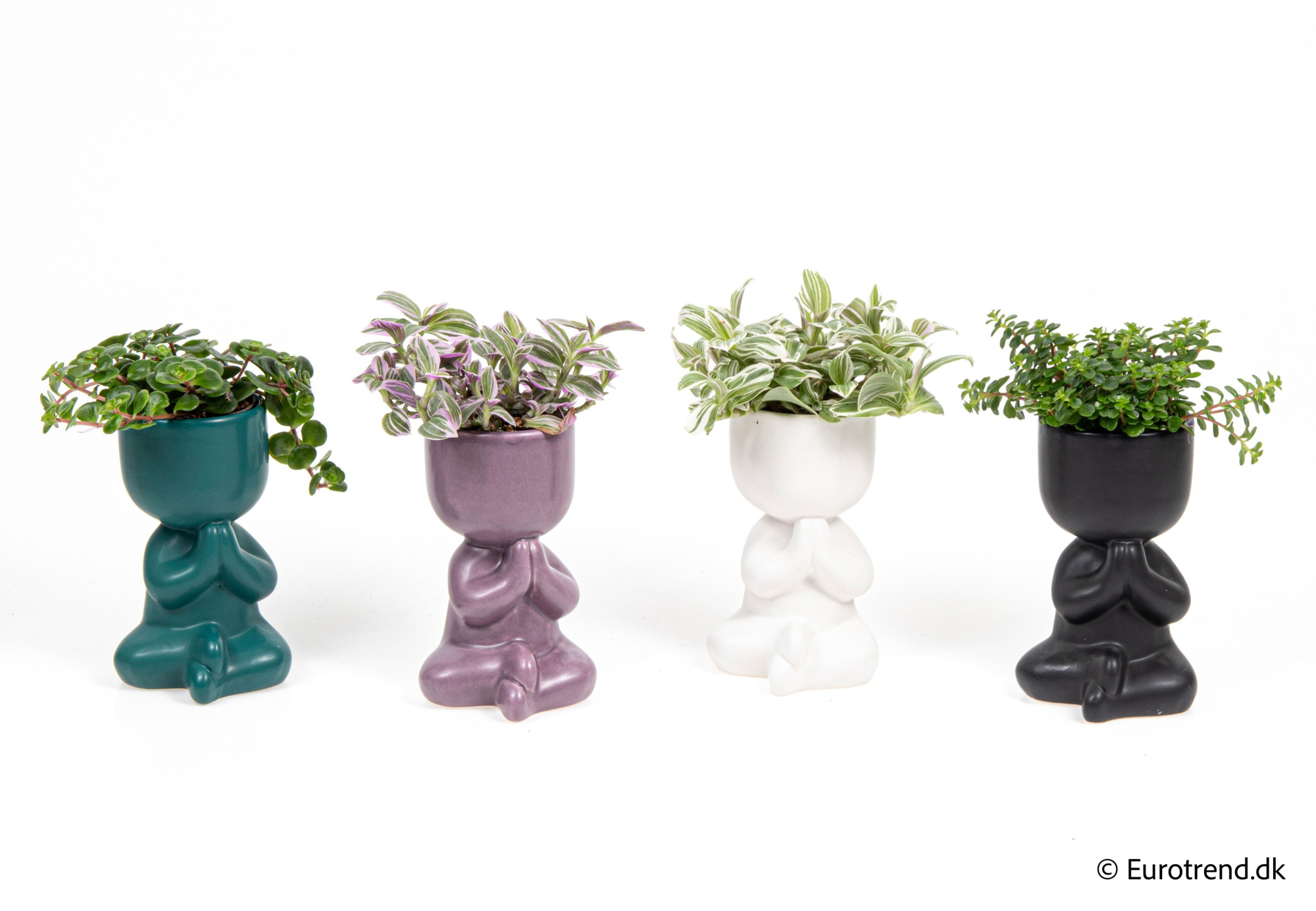 Green mix in New Look ceramic 2026, D 6