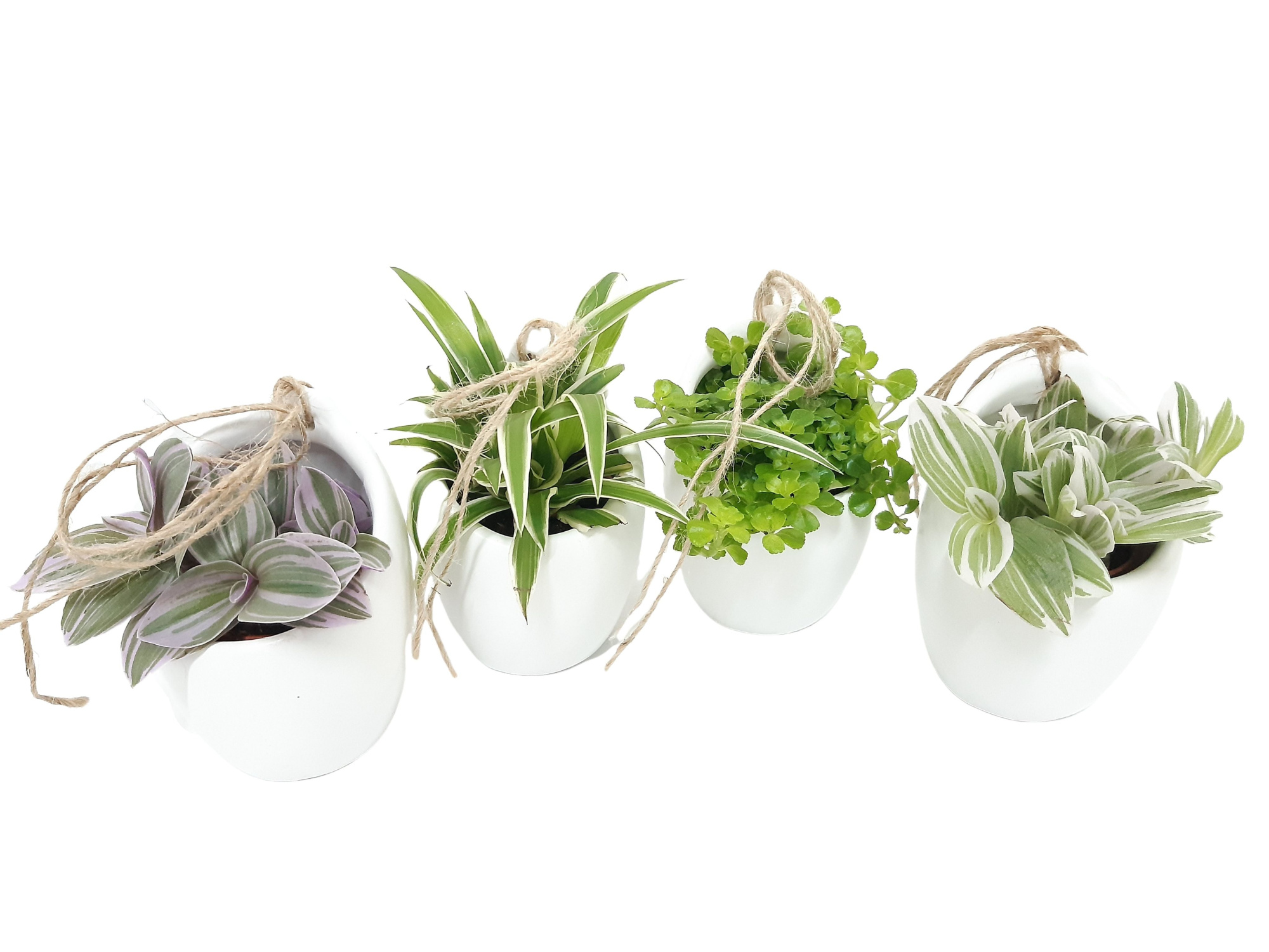 427 Mini hangpotje wit mini gr.mix, D 7,5