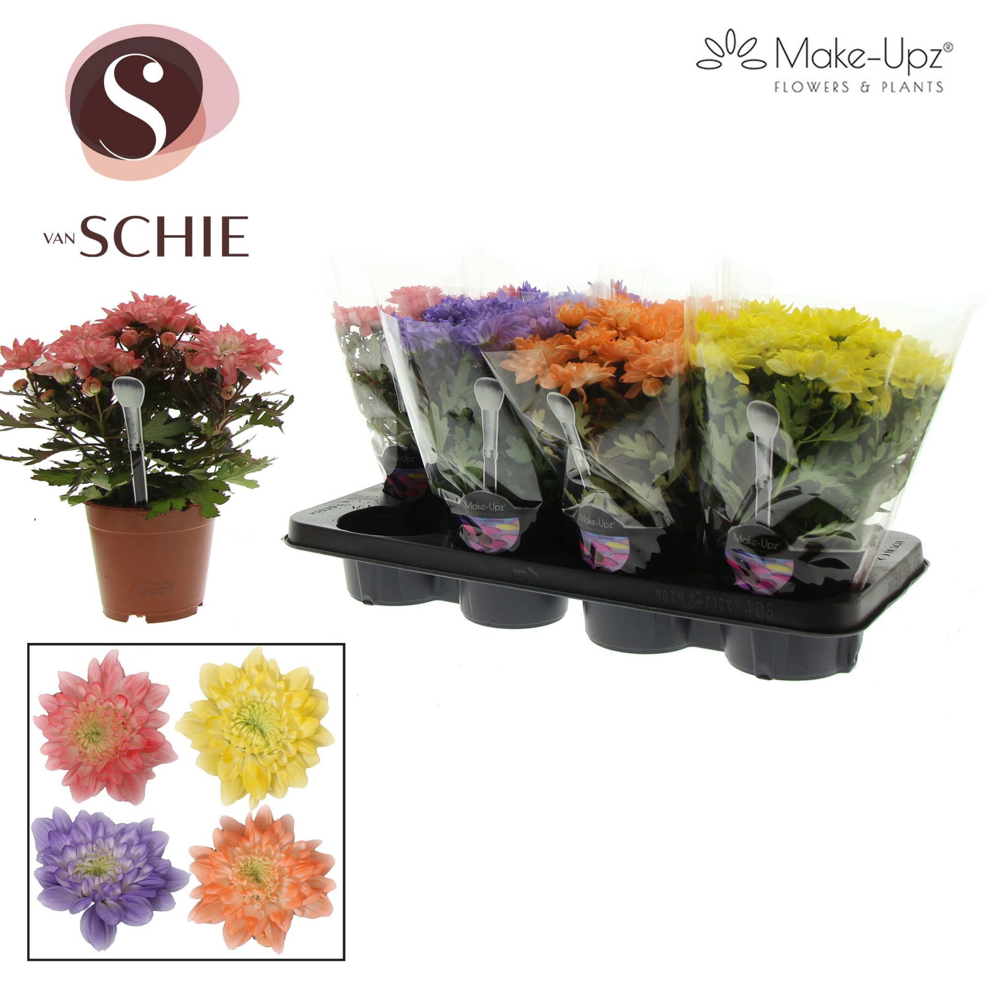 Chr Grandezza Make-Upz® UNO Mix 2, D 13