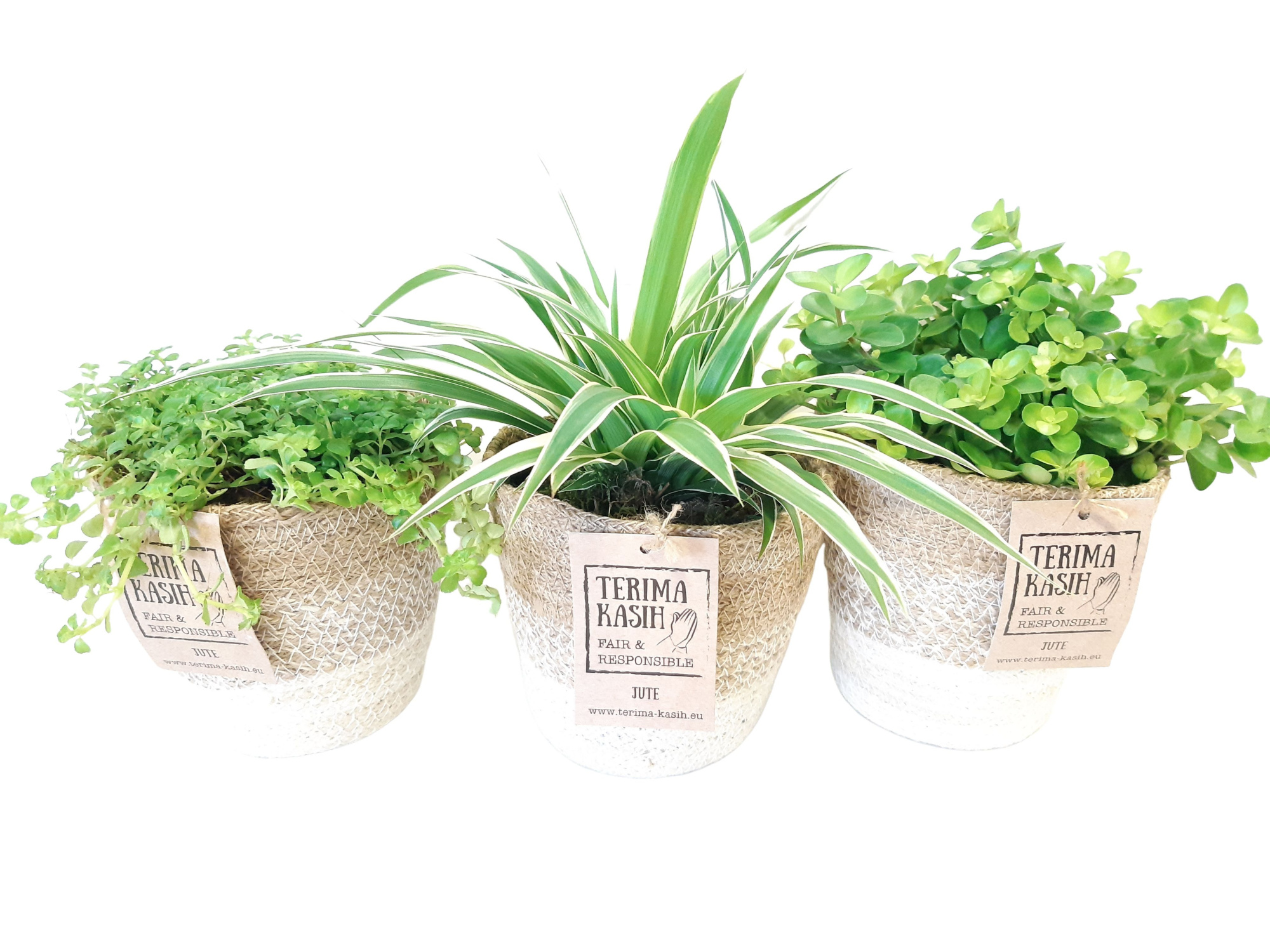 JMWH14GEM Jute mand White D14cm Groenmix, D 14 cm