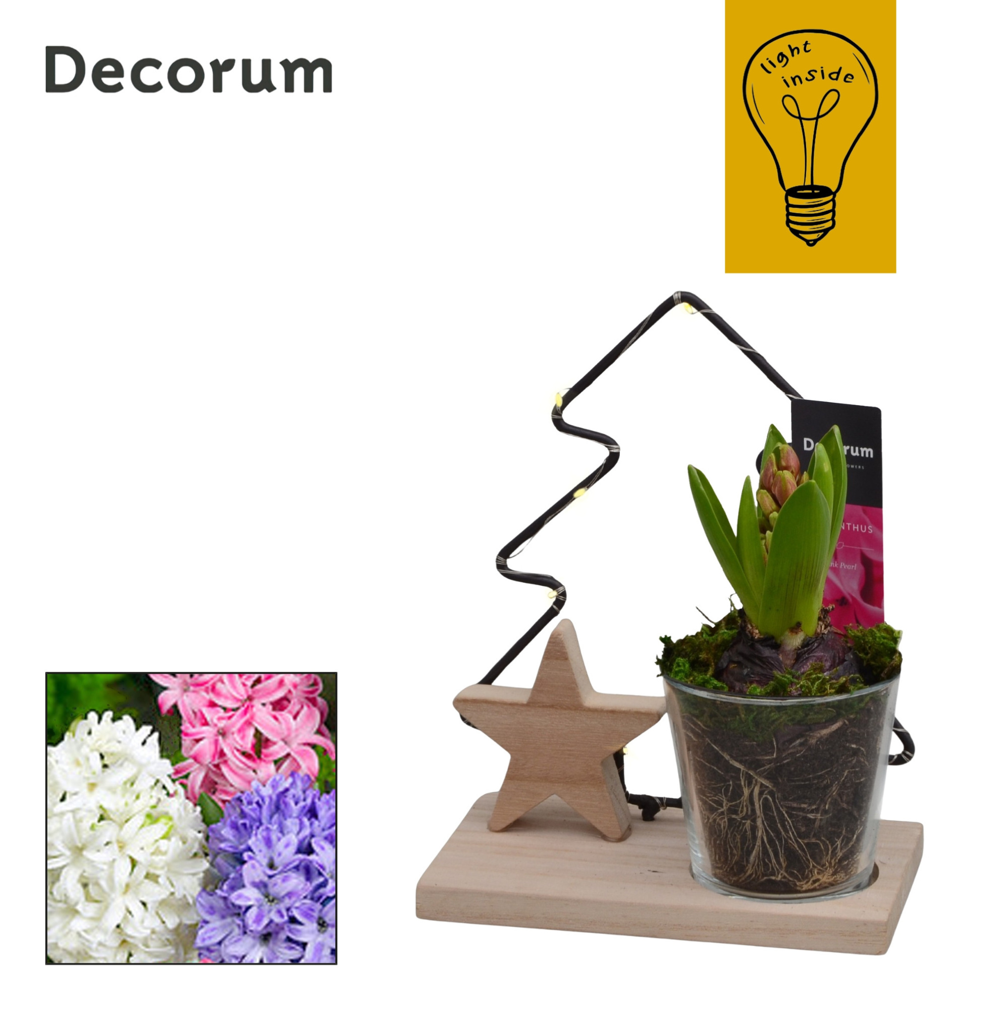 Hyacint Tree with Light HL44492 [CHRISTMAS LIGHT], D 14