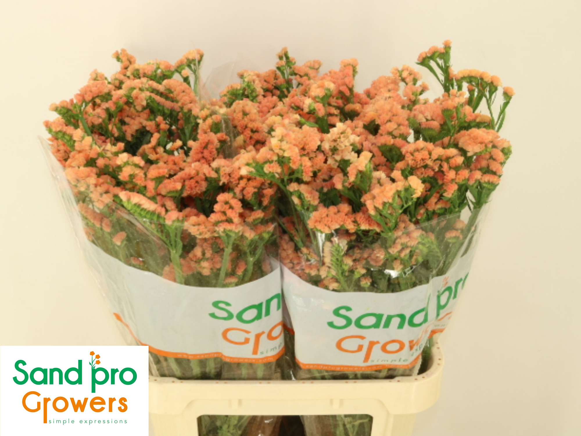 Статица Роял Оранж 80, шт.