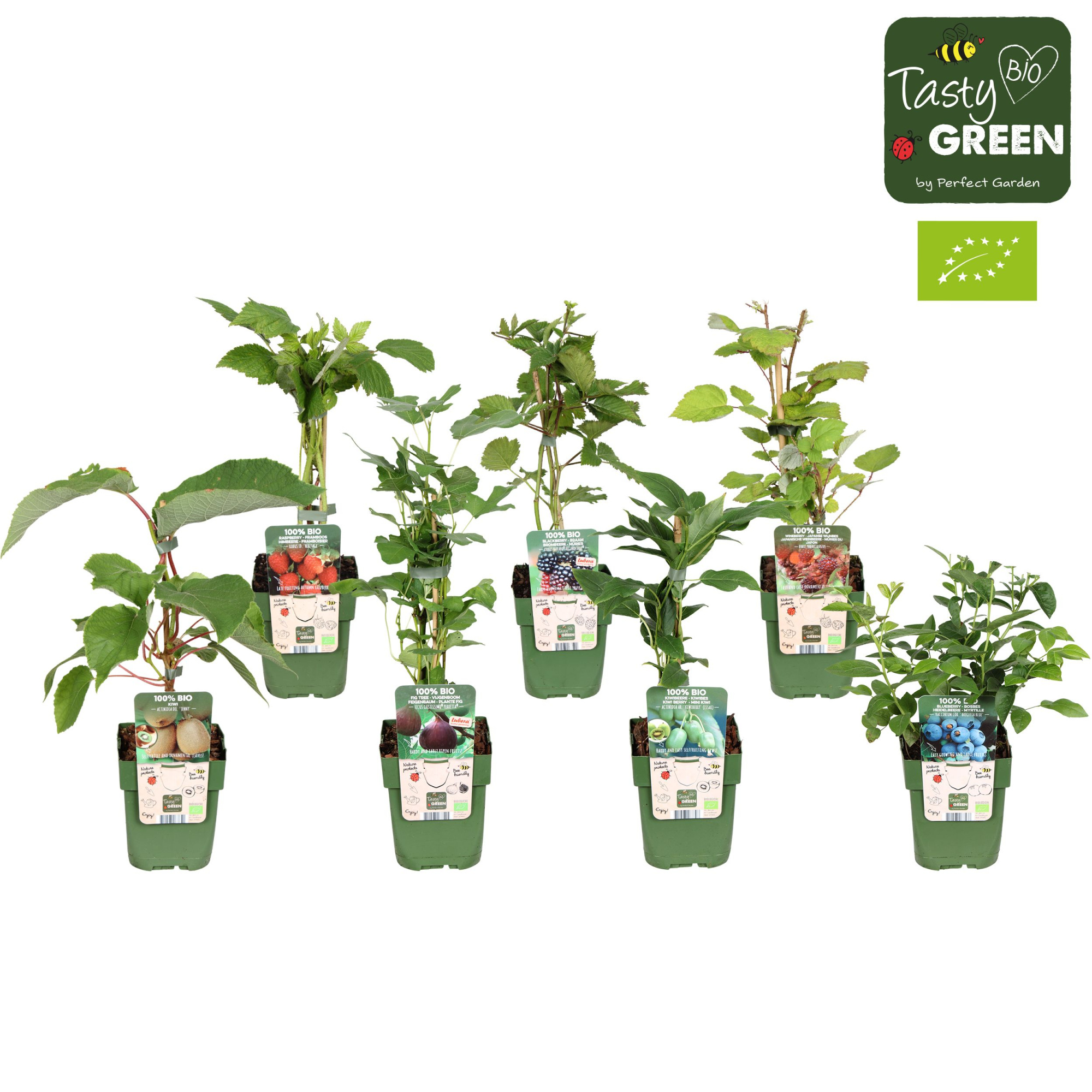 Fruit mix tray bio exclusief P13 (6x6), D 13 cm