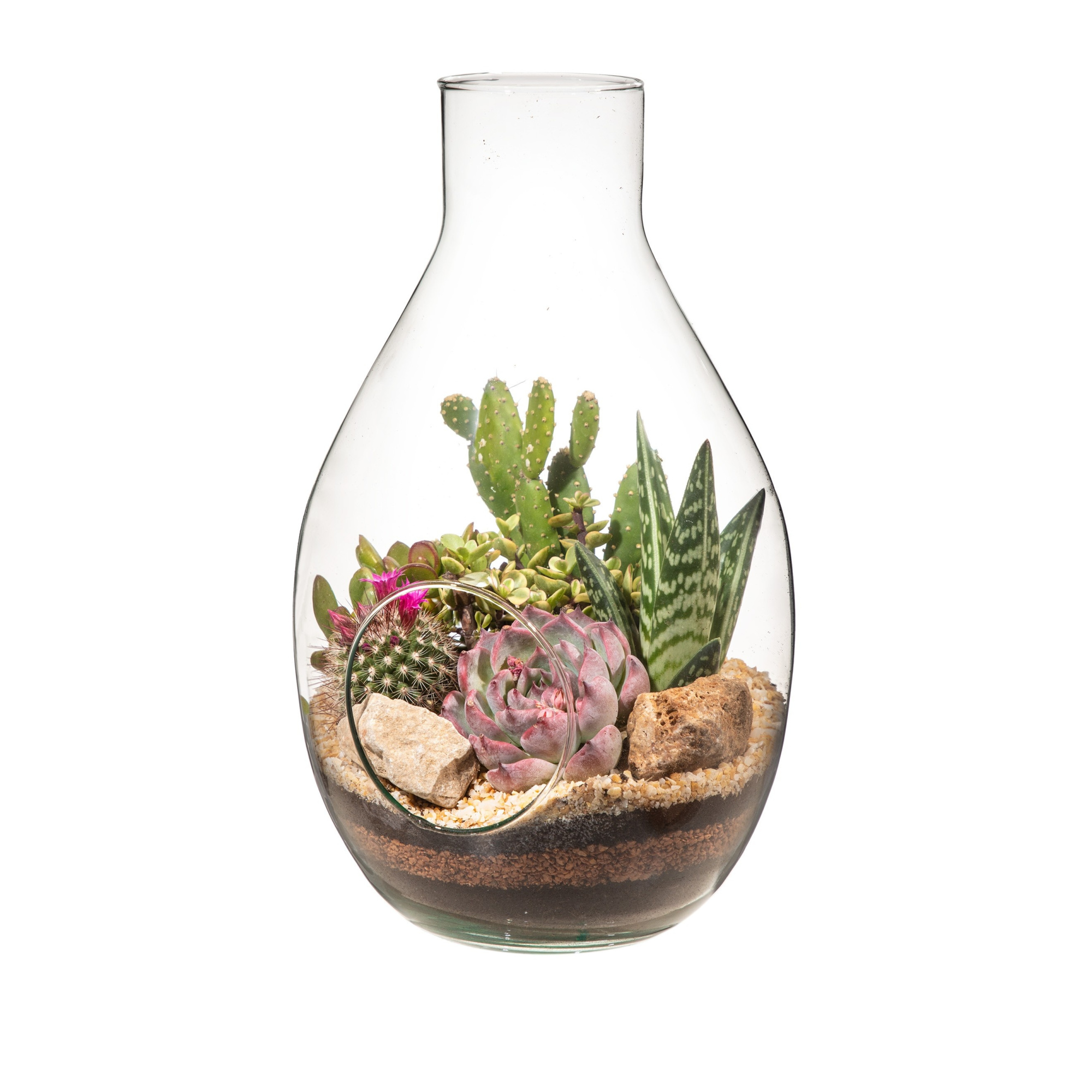 GLASS COMPOSITION - BOTTLE VASE Ø18 H30 - IN CARDBOARD BOX CM 18X18, D 18