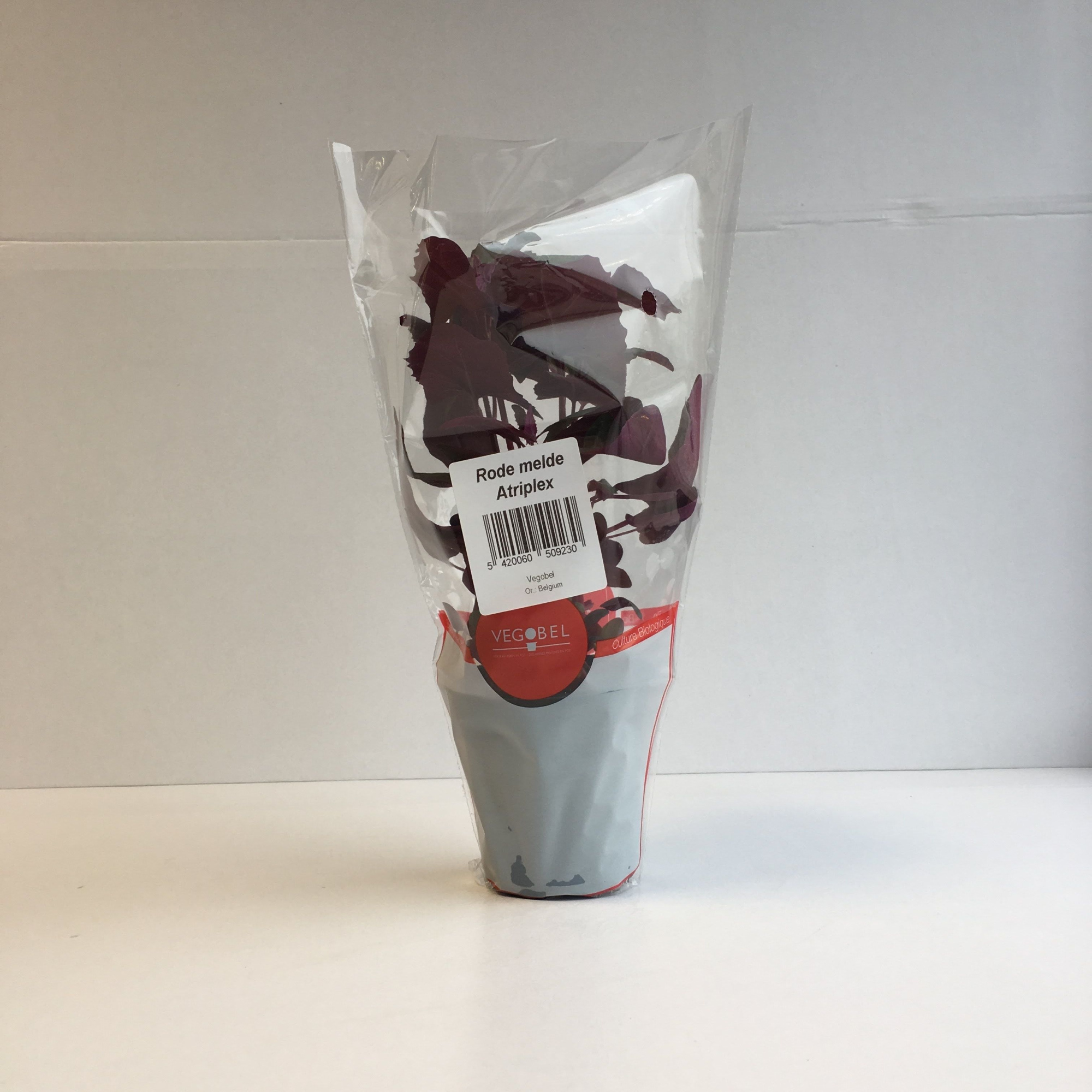 Melde Rood P9, D 9 cm