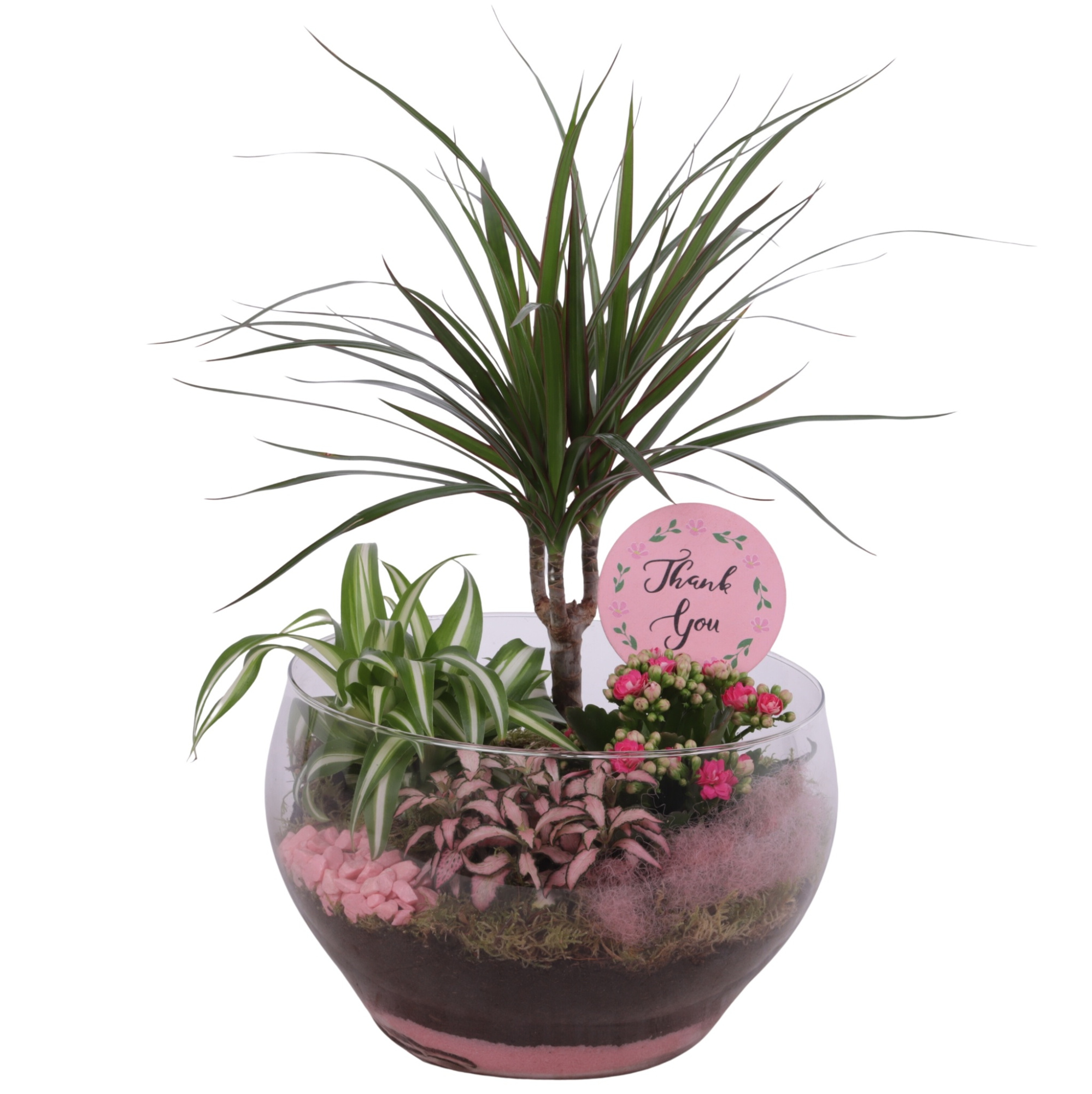 Mothersday Arr. Indoor Glass Vase Ø25cm 4PP, D 25