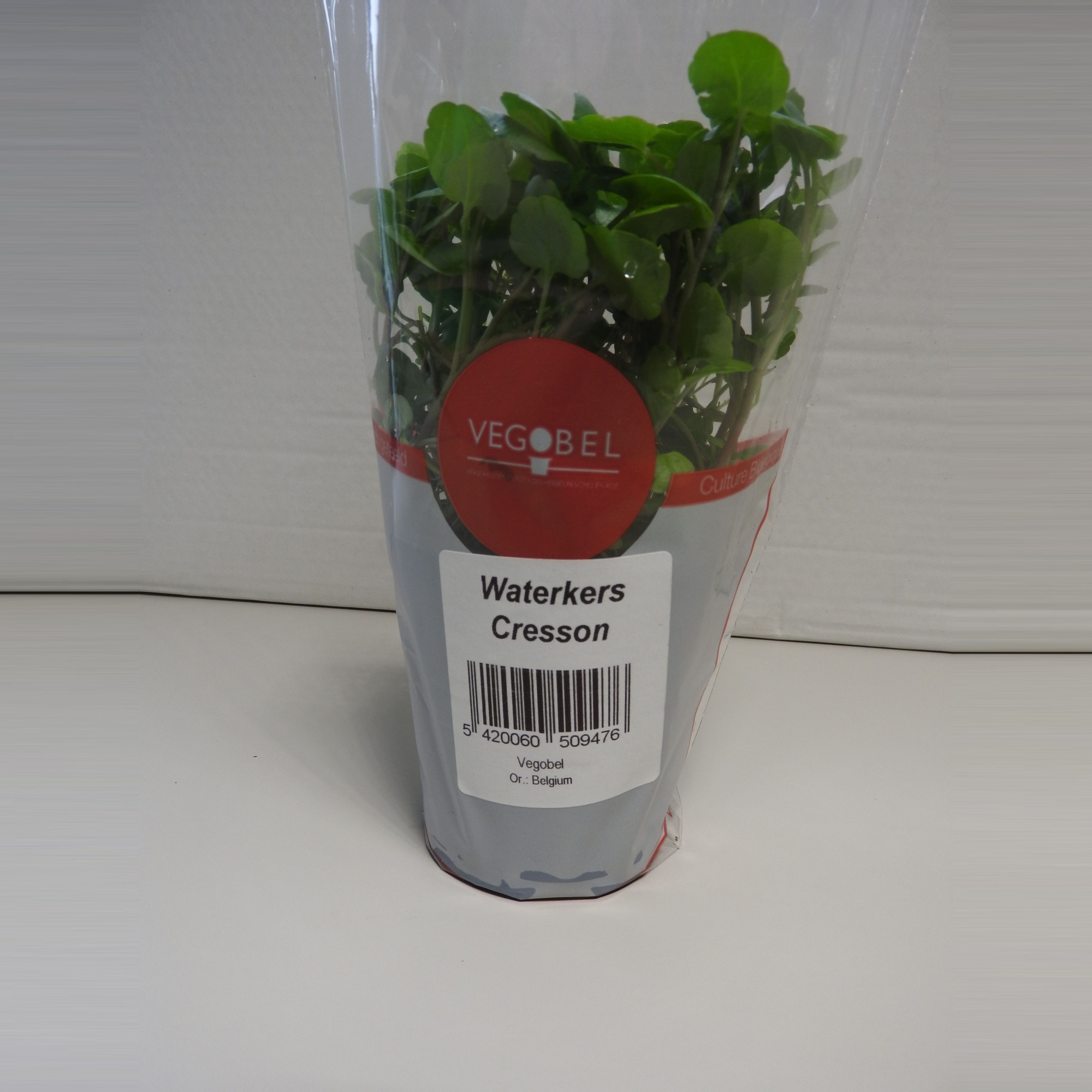 Waterkers P9, D 9 cm