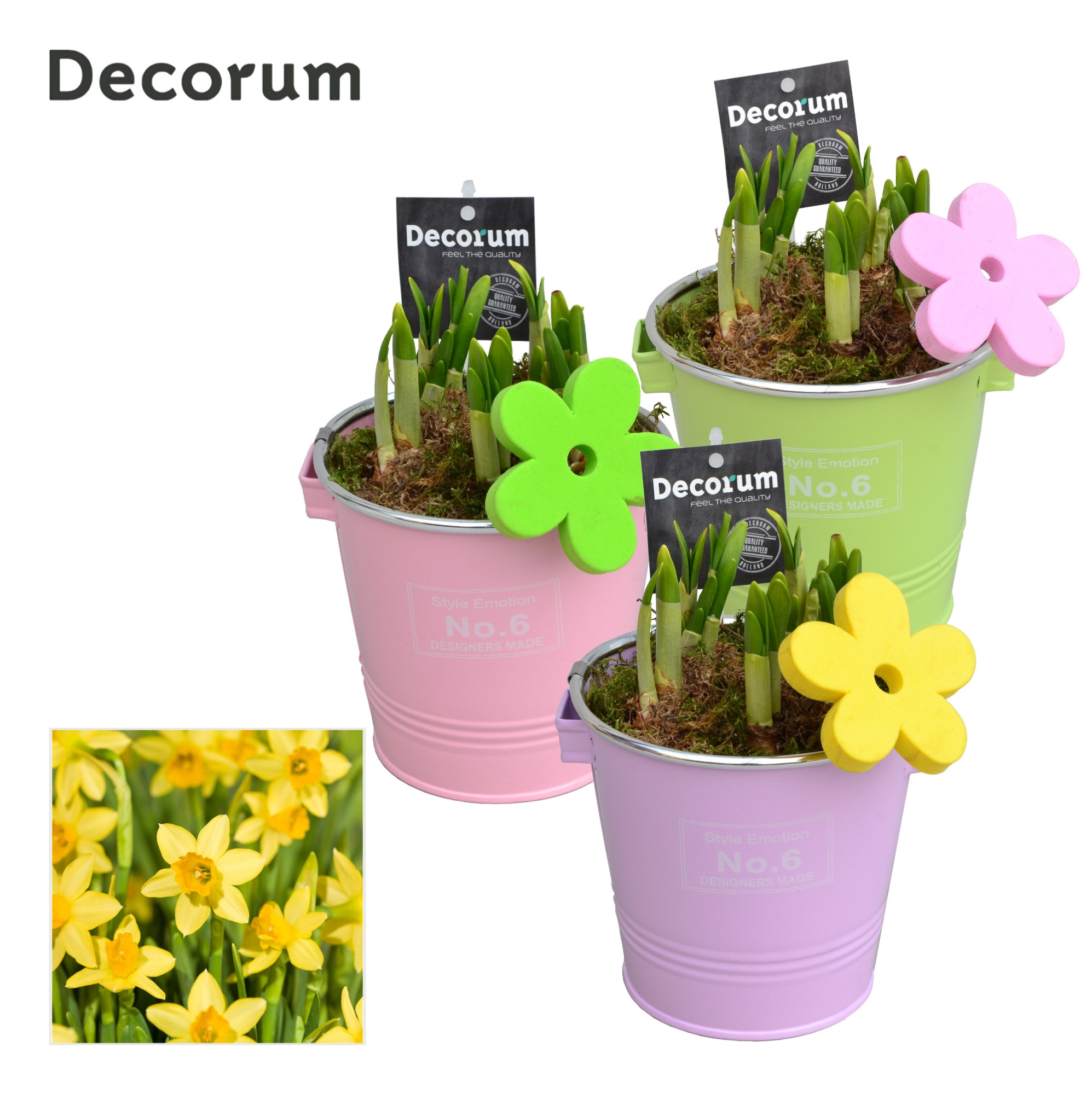 Narcis Colourful Bucket GM HL16587, D 13