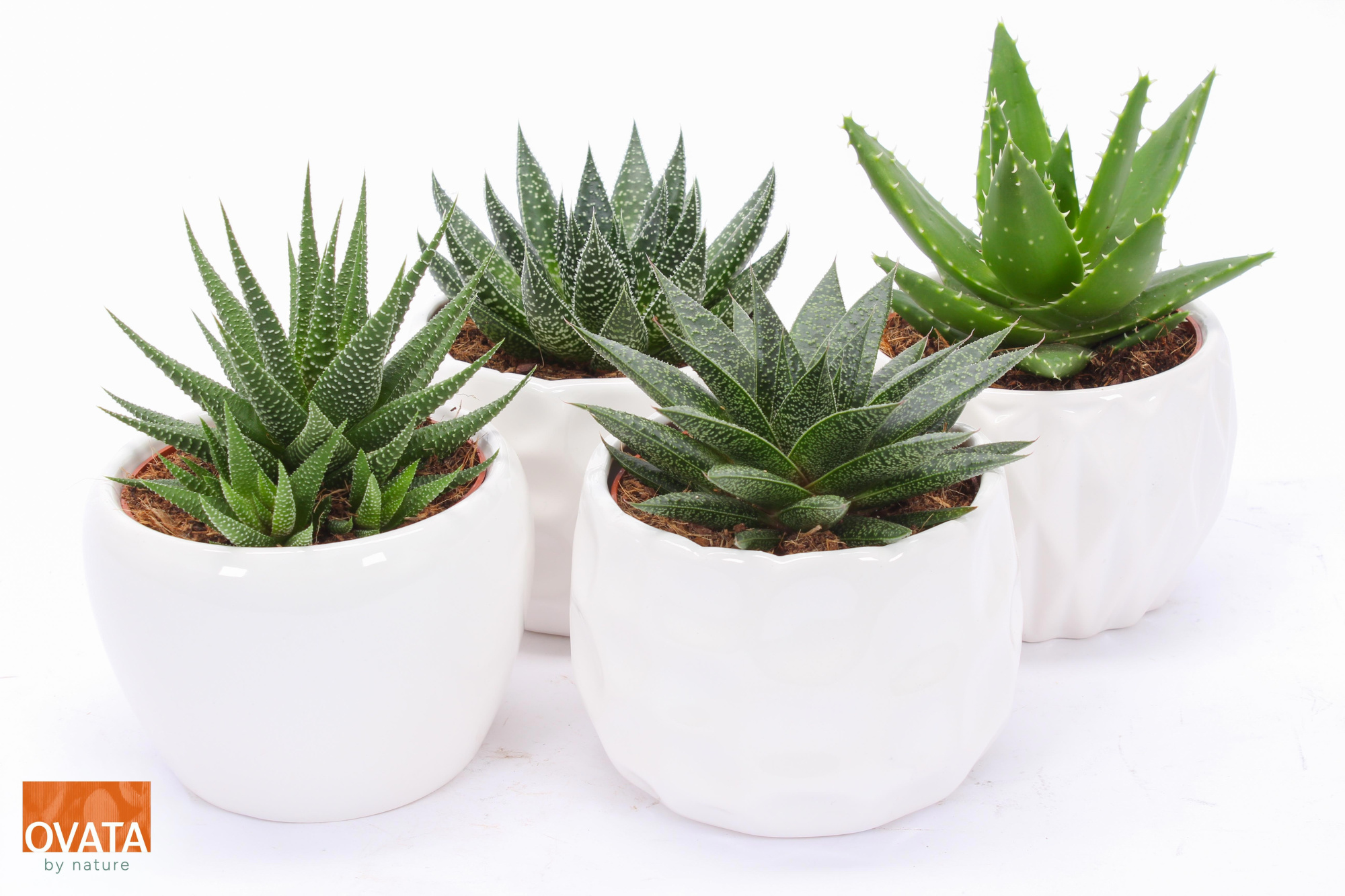 ROCKS mix in Paros 15, D 15