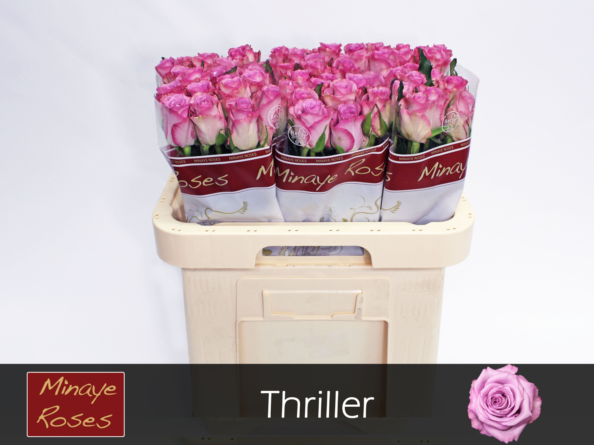 Роза од. Триллер 60, шт.