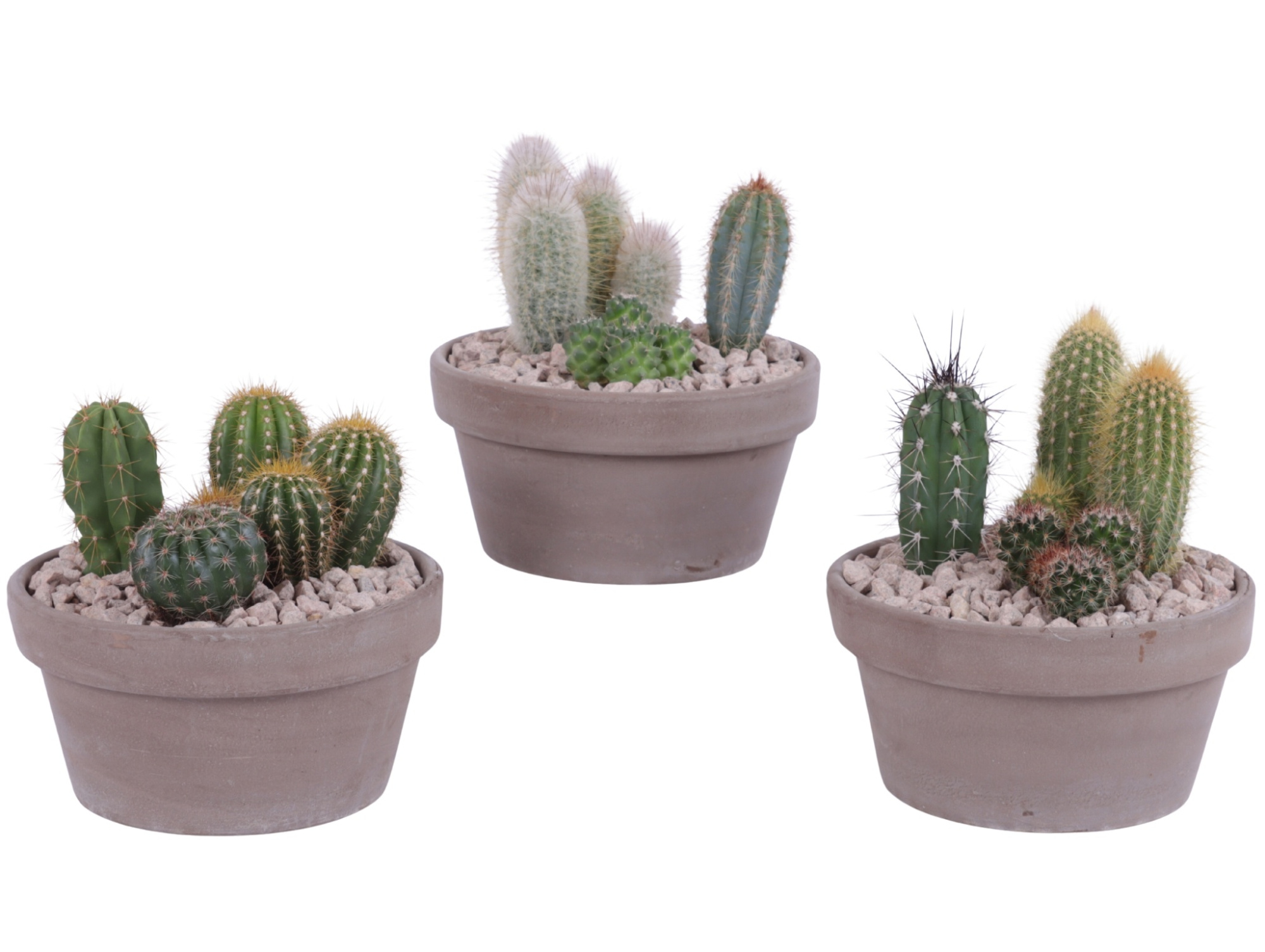 Yearround Arr. Cactus Ceramic Romana Grey Terracotta Ø17cm 3PP, D 17