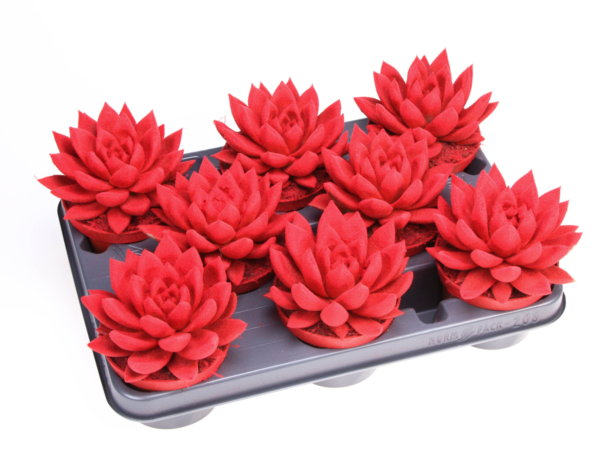 Miranda velvet red, D 10,5 cm