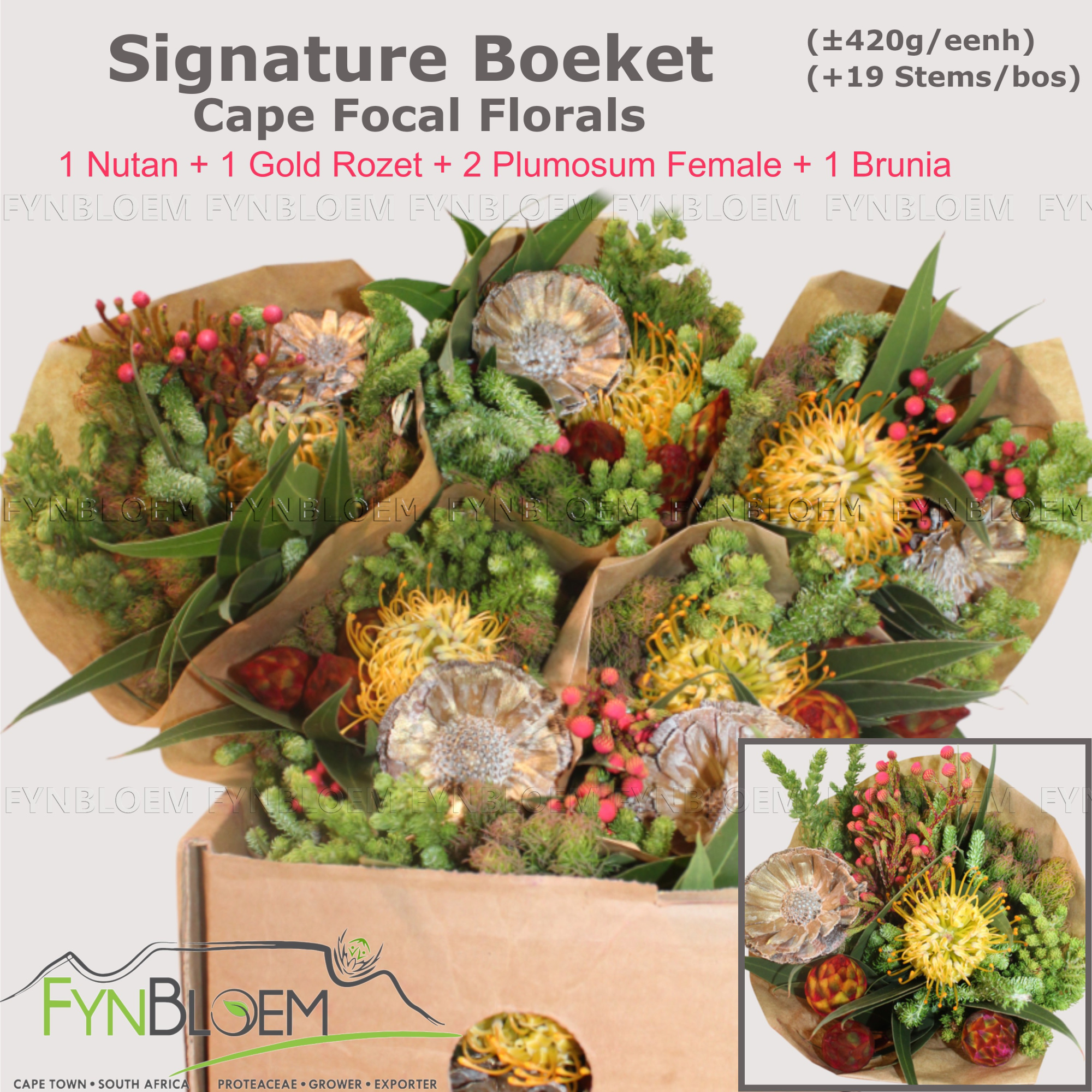 Протея Овериг за пучок 40, пуч.