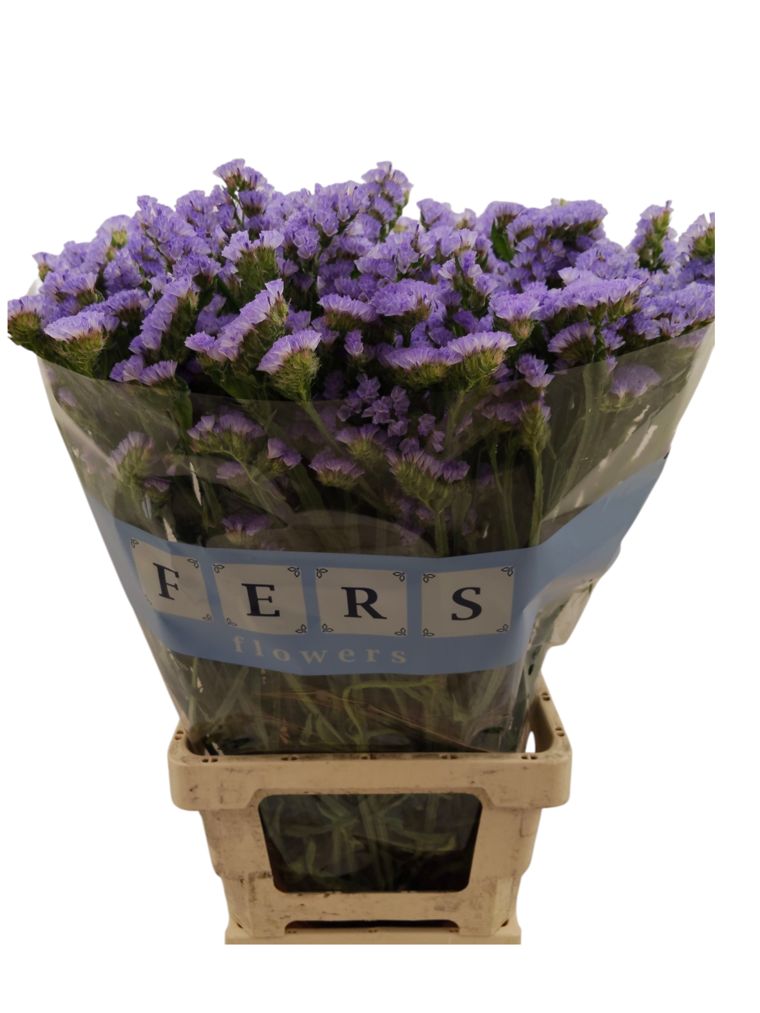 Статица Скай Вингз 80, шт.