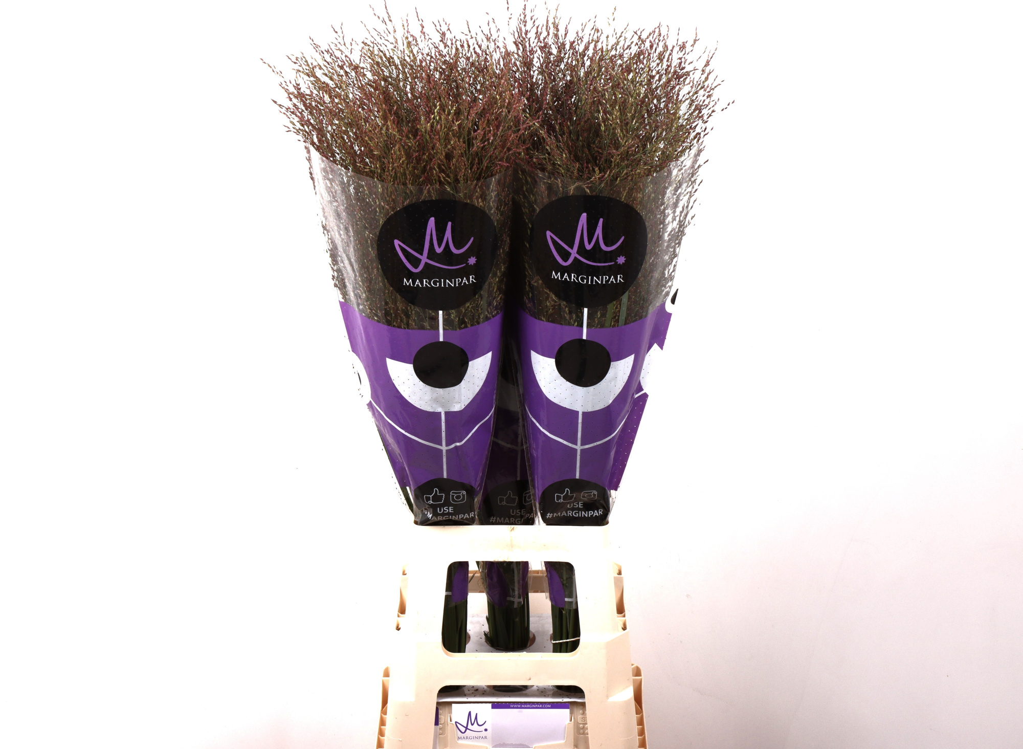 Паникум Вориор 90, шт.