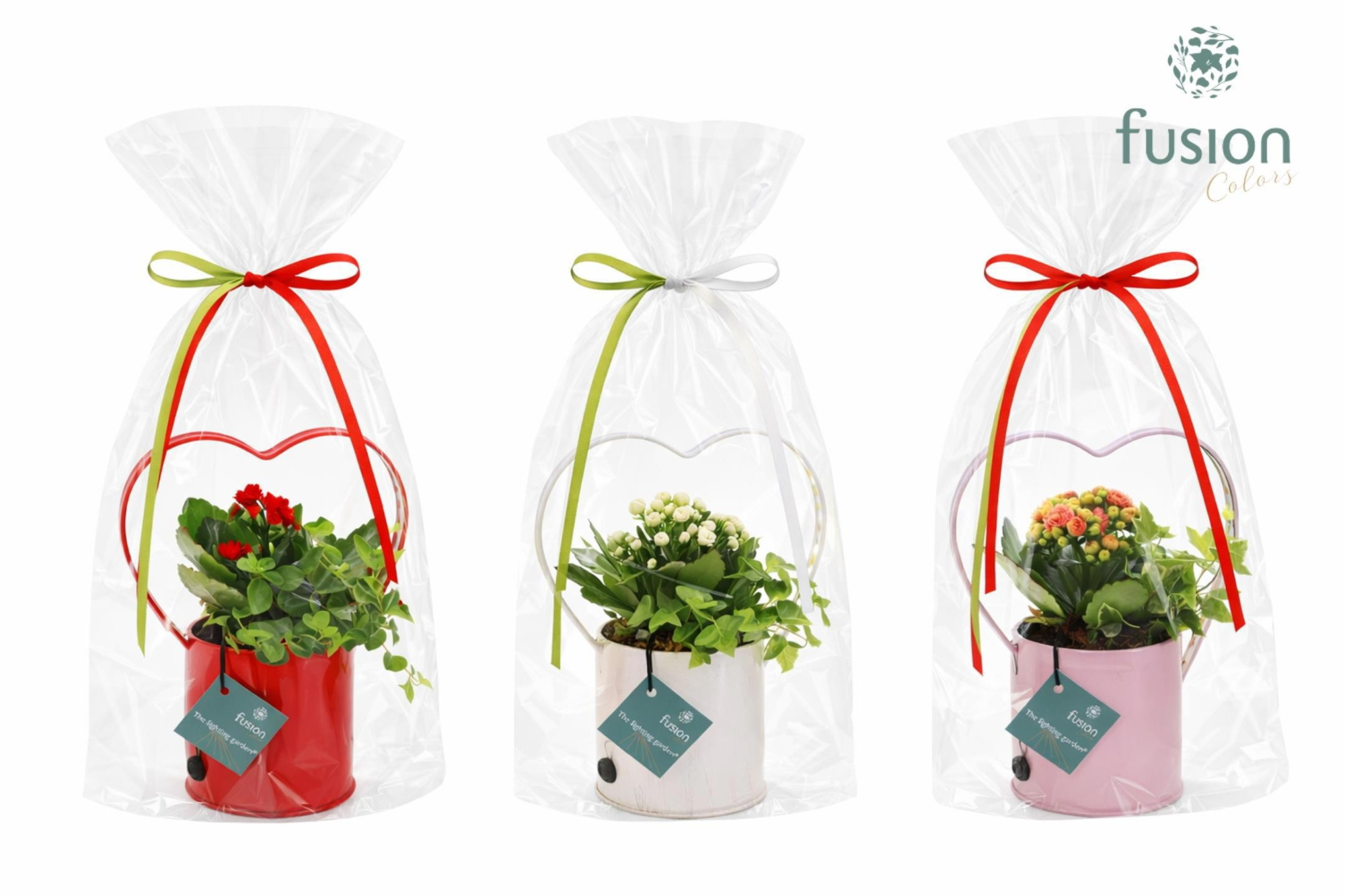 Led planter zink HartvormSmall met arrangement in klaphoes, D 18