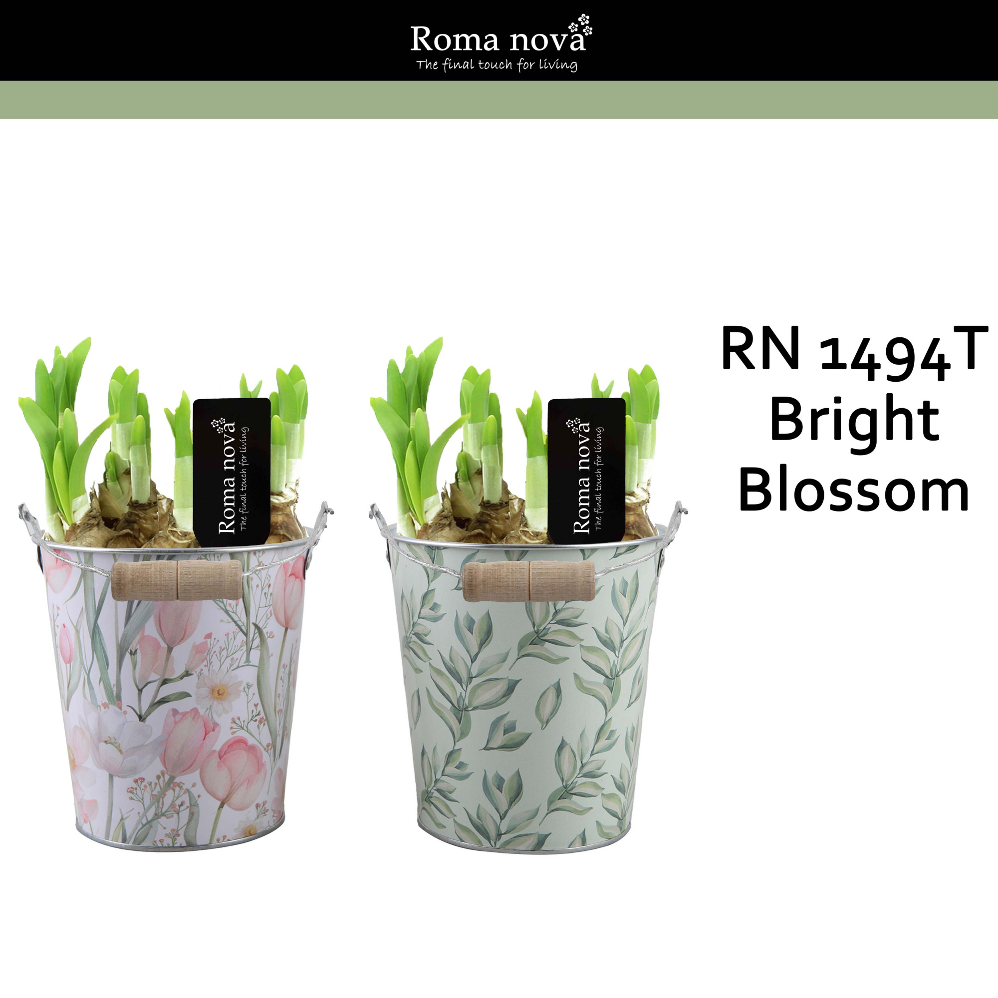 1494T - Bright Blossom (Tete a Tete), D 14