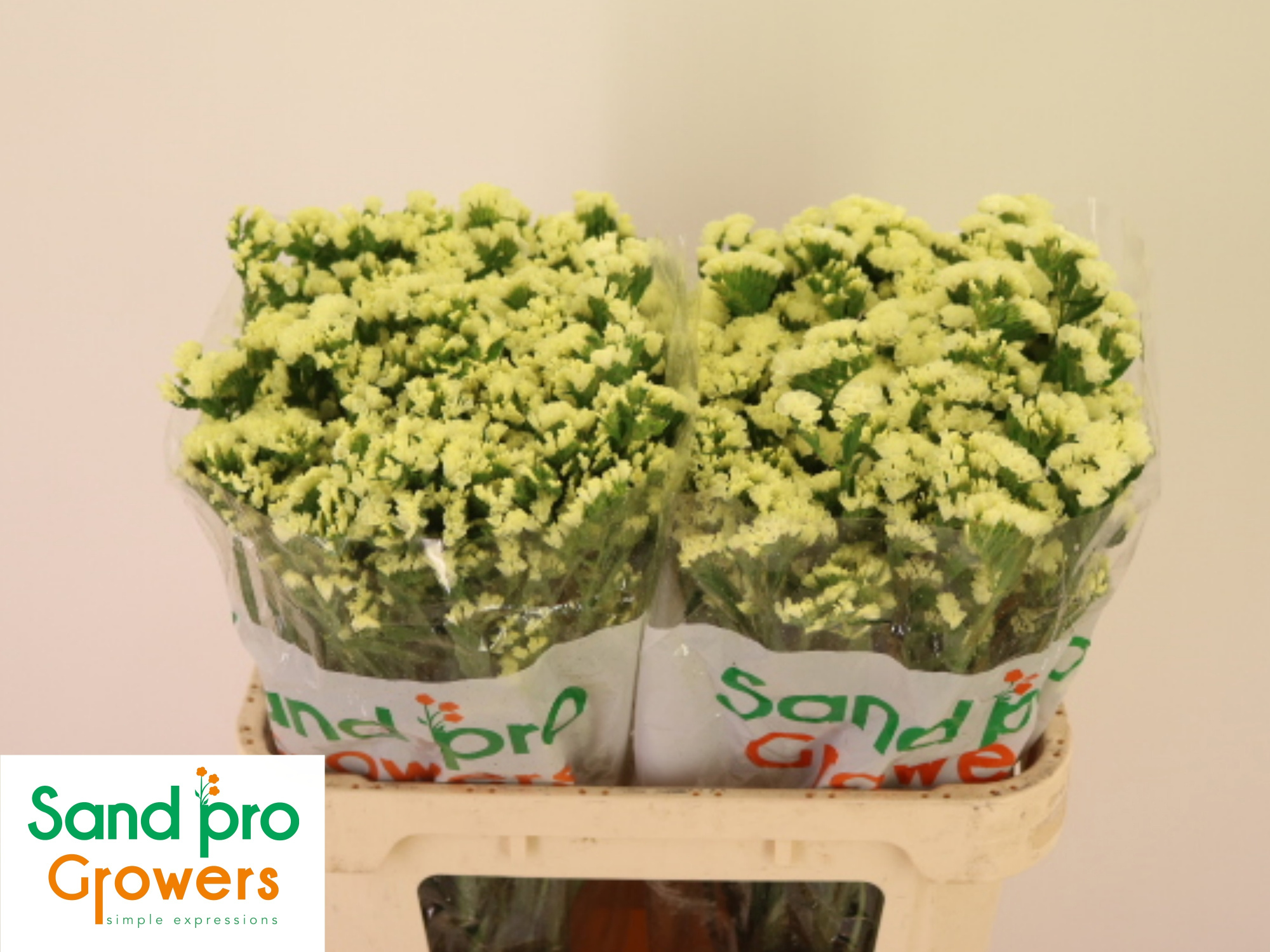 Статица Старлайт Вингз 80, шт.