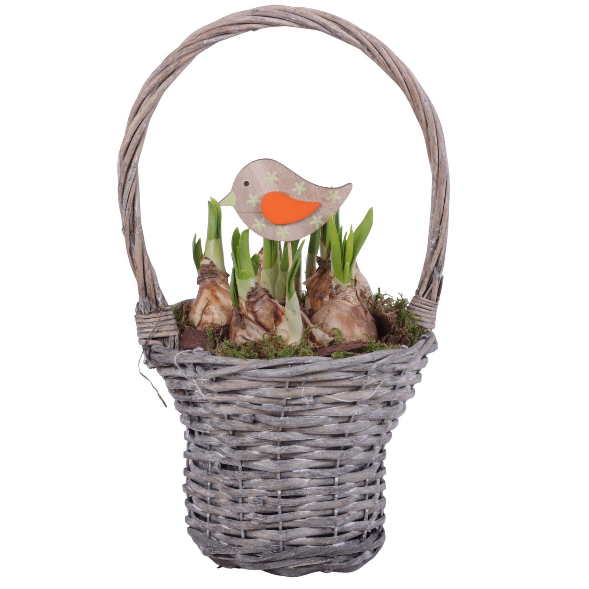 Bulbs Arr. Narcis Willow Handle Basket Grey Ø18cm, D 18