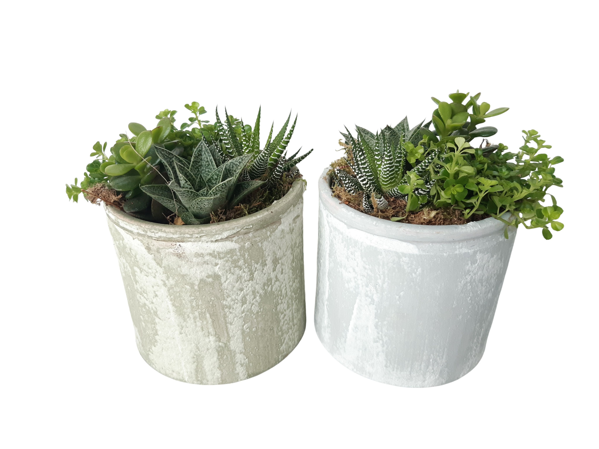 PP14GMX Planter Pot Keramiek 14cm mini plant mix, D 14 cm