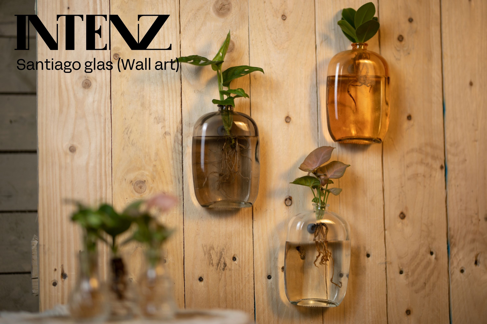 Mix in Santiago glas | Wall art - levertijd: 24 uur, D 7 cm