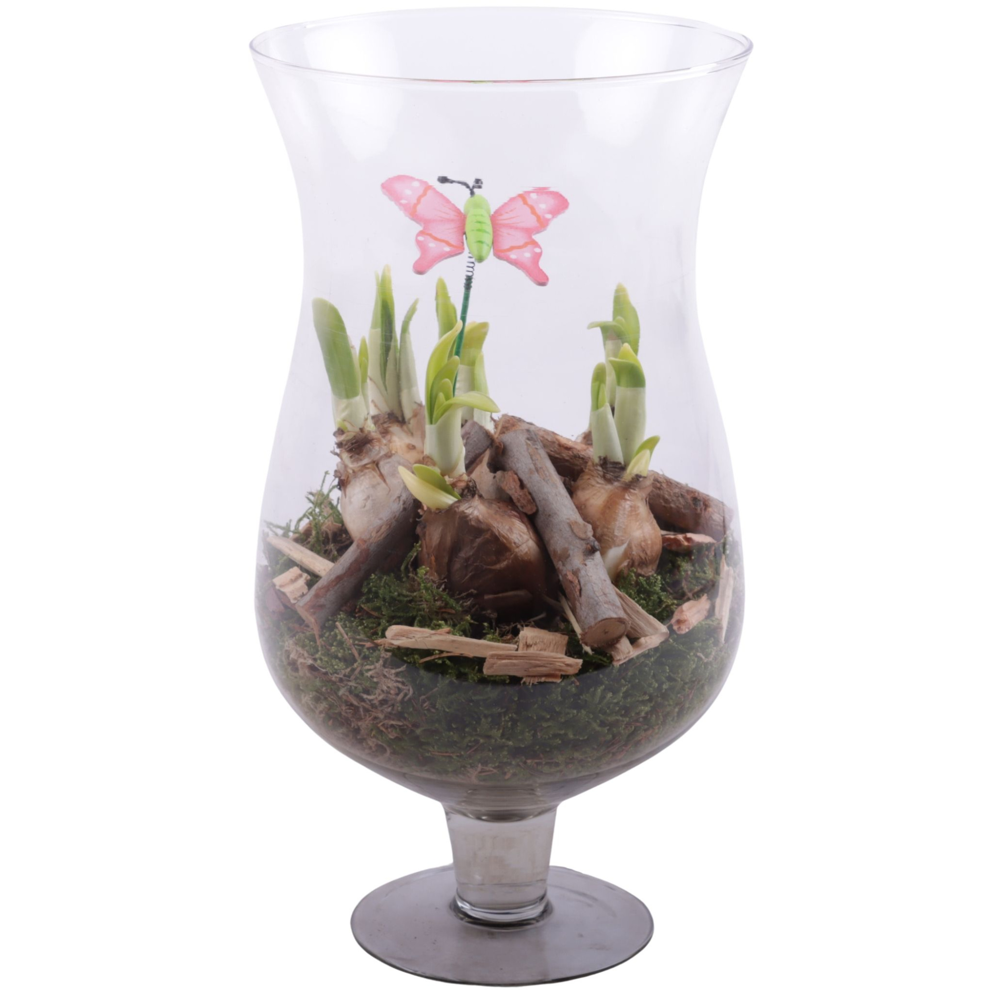 Bulbs Arr. Narcis Glass Cognac Ø17cm, D 17