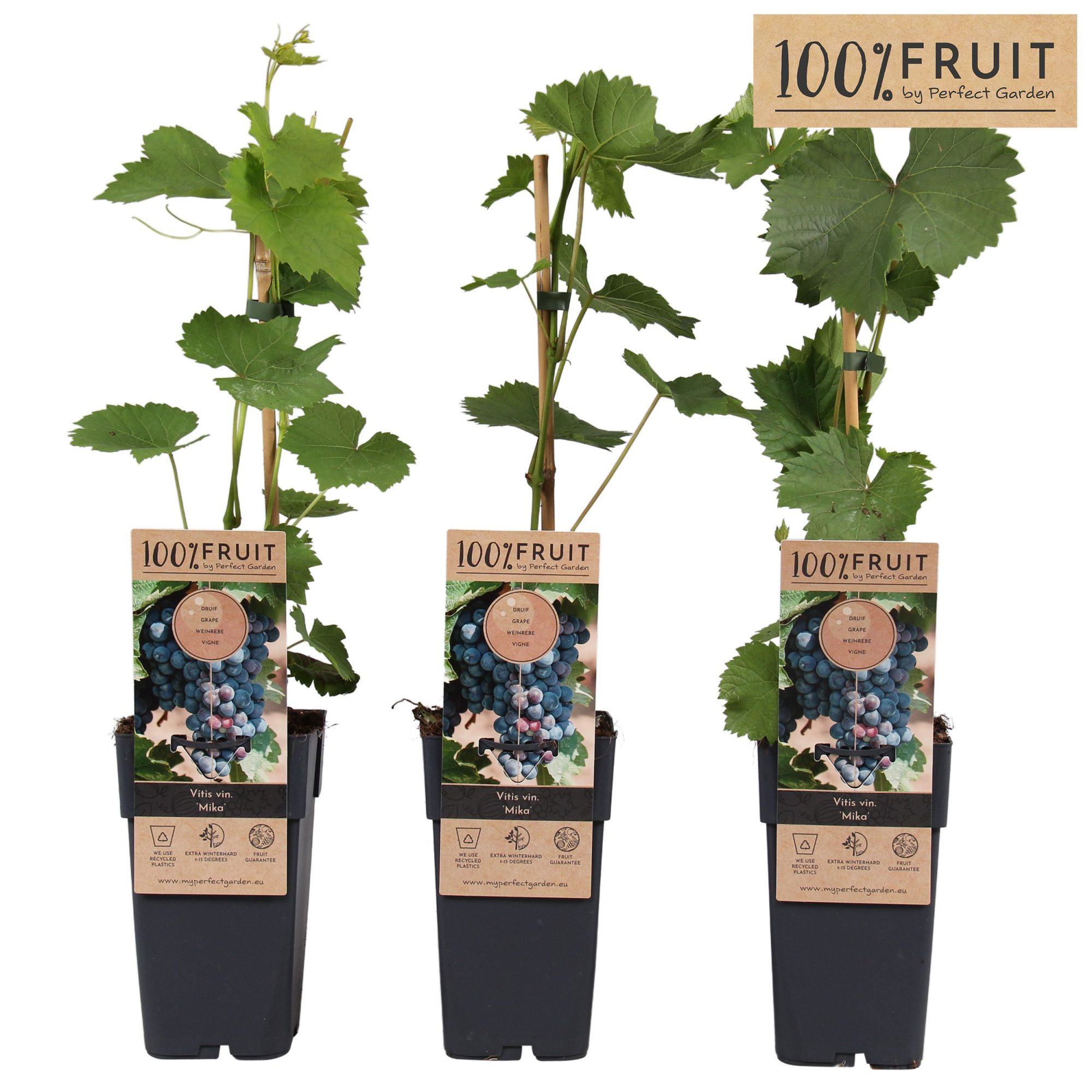 Vitis Mika P15, D 15 cm