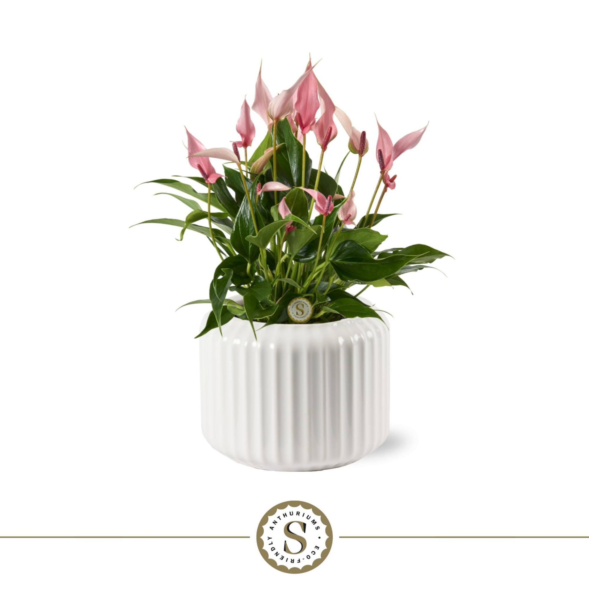 Bologna Keramiek White - Lilli, D 12 cm