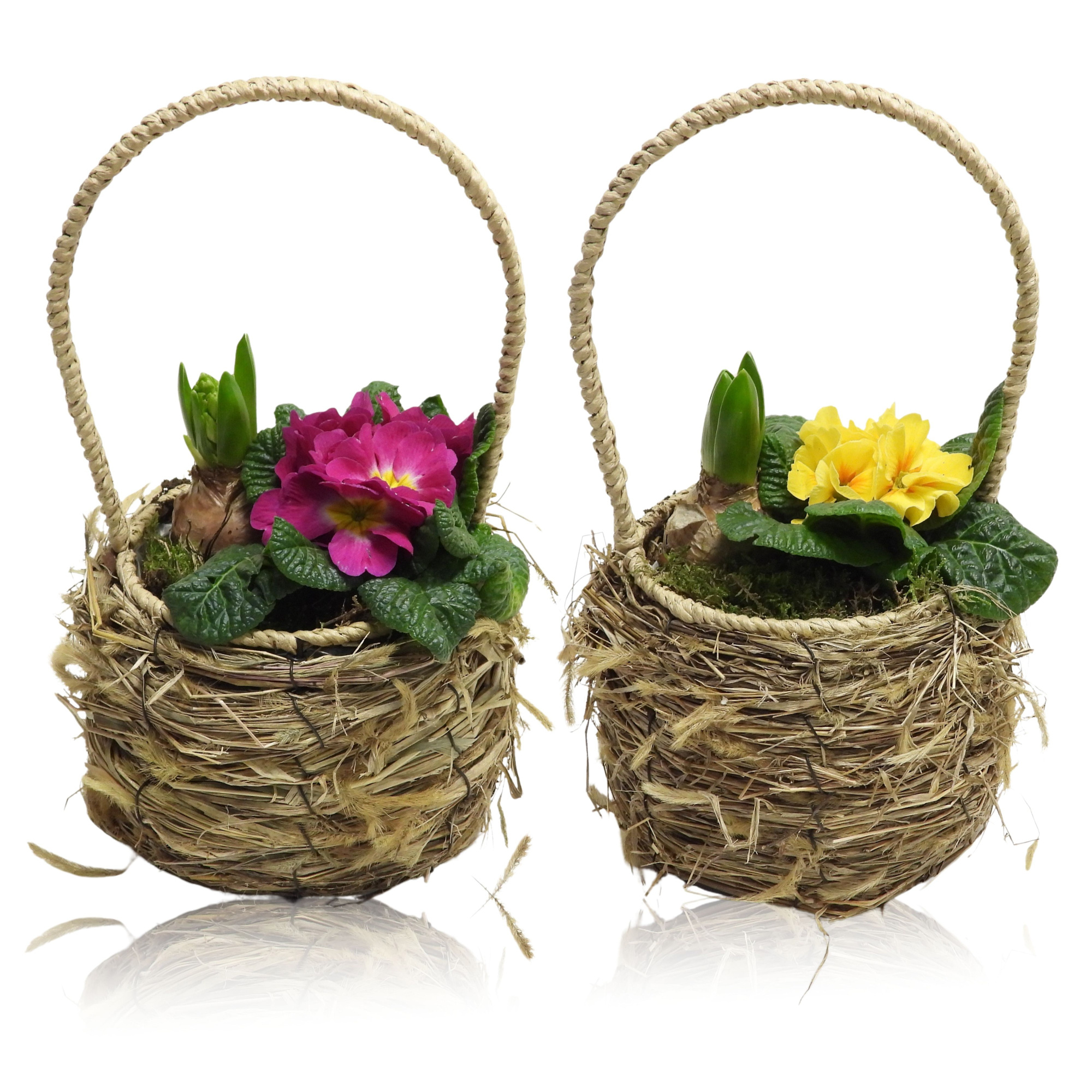 Early Spring Specials Arrangement Hyacint Mand Met Hengsel 19 cm, D 19