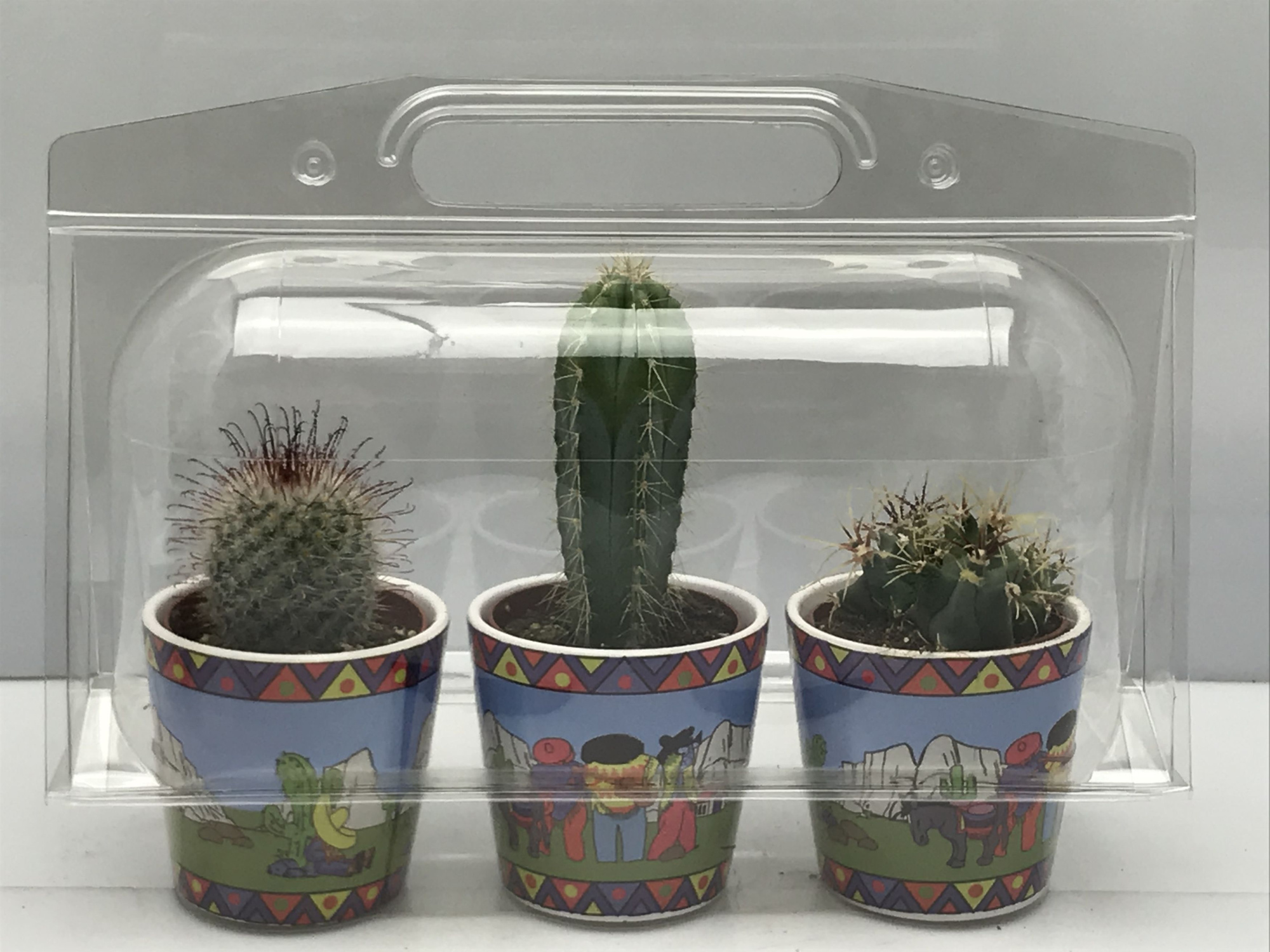 285 Trioblister gringopot cac 6,5 cm, D 8 cm