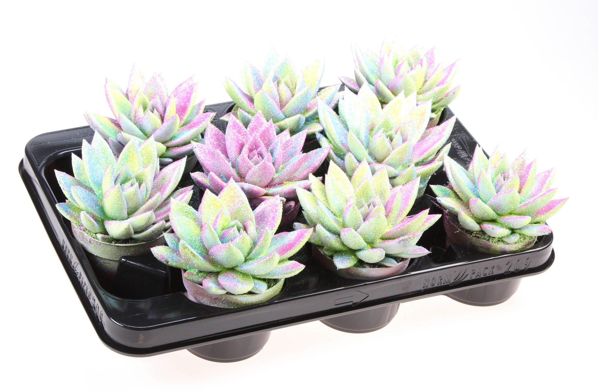 Miranda multi glitter mix, D 8,5 cm