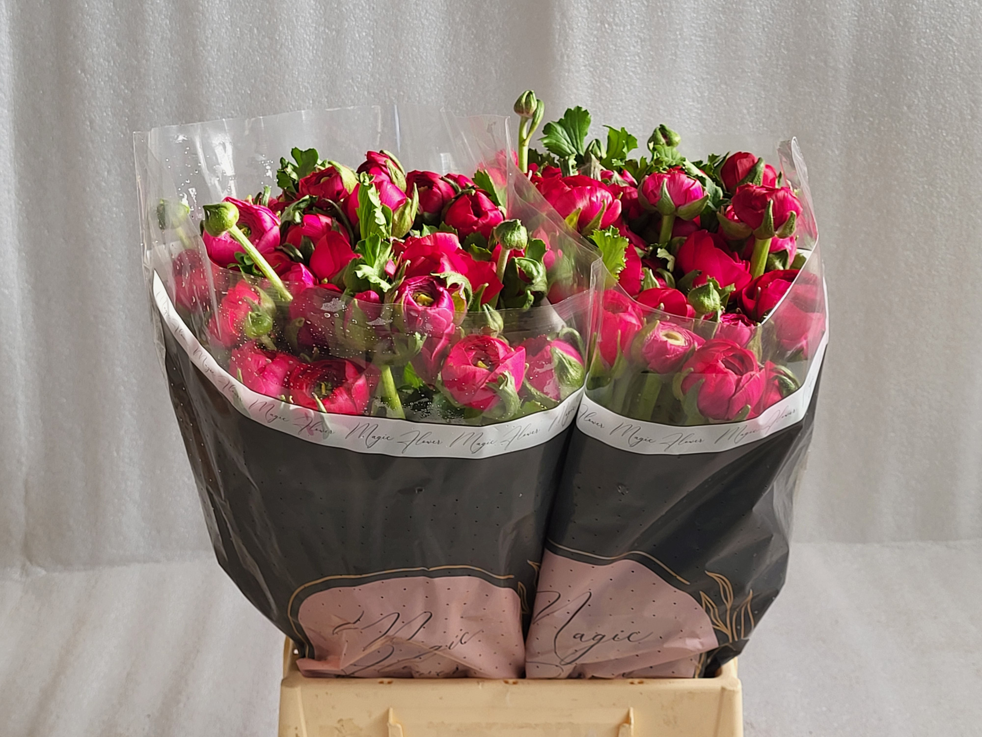 Ранункулус Элеганс Хот Пинк 35, шт.