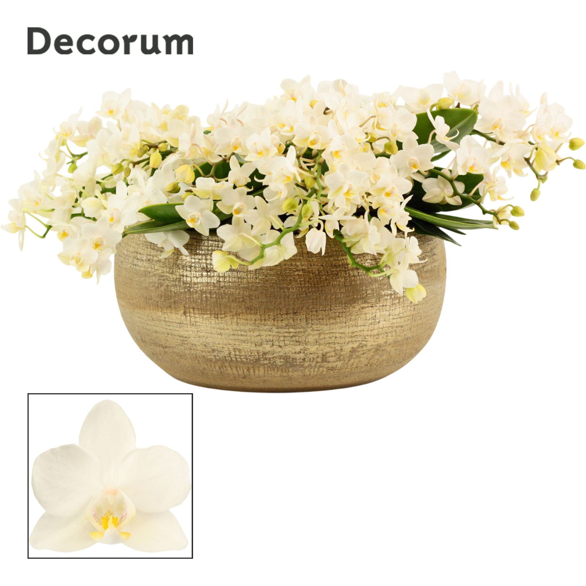 Aurelie table Whitney 12+ tak symphony (Deco-collection), D 27 cm